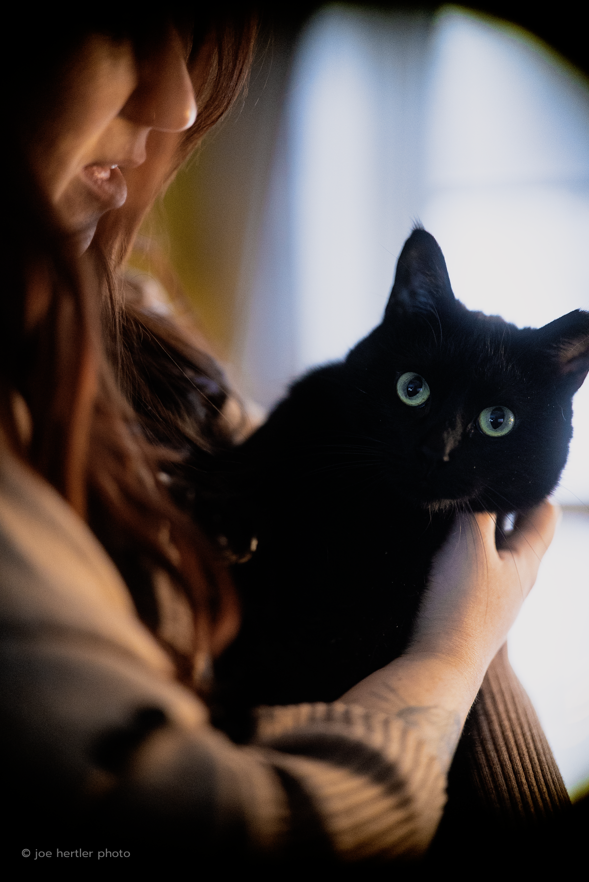 joehertler-pet-photographer-portrait-michigan-black-cat