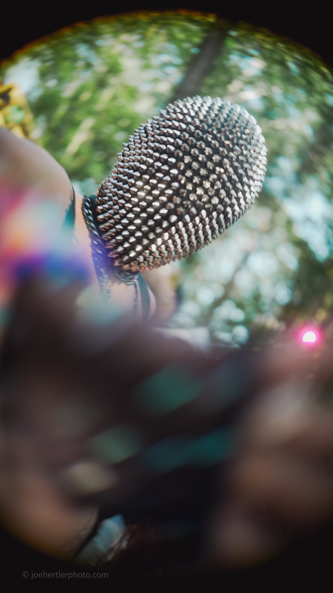 joehertler-photography-events-michigan-116.jpg