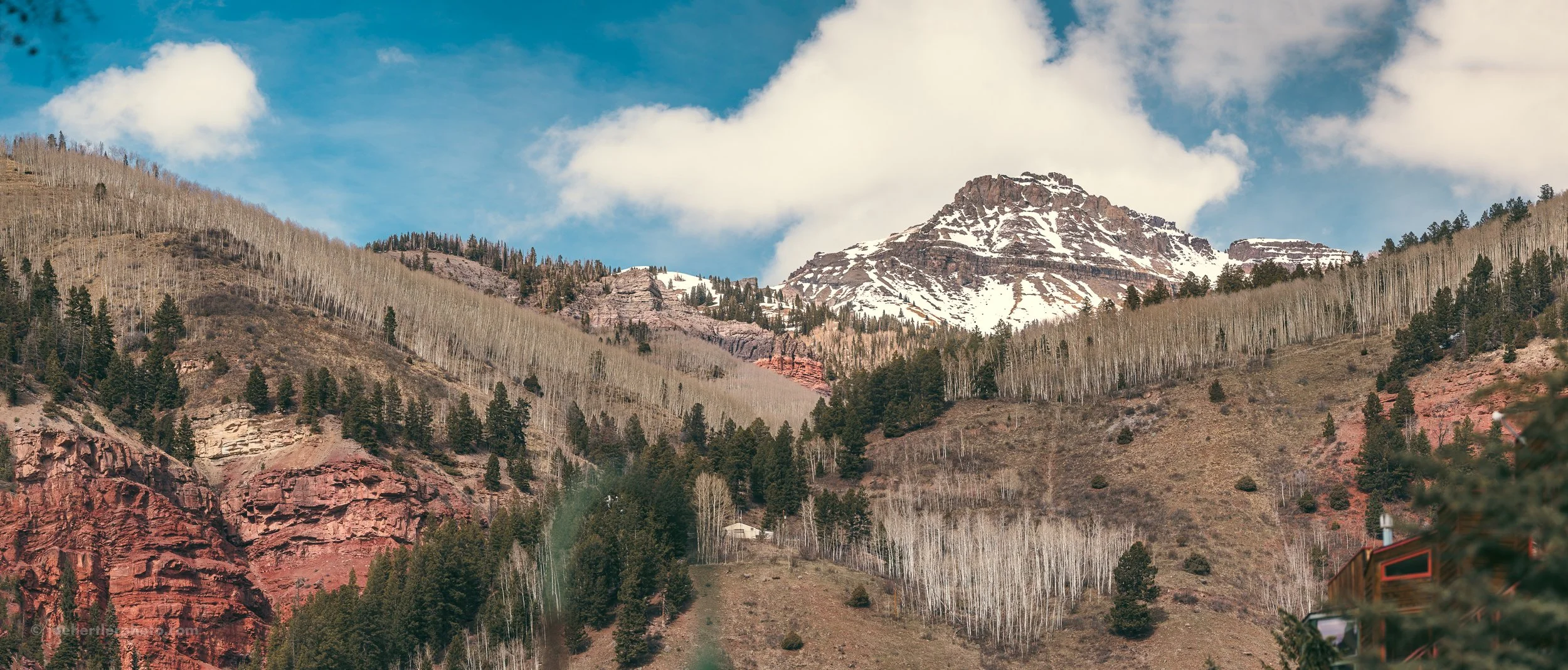 Mountain landscape with snow-capped peaks, dense forest of evergreen and deciduous trees, and a train partially visible on the bottom right corner.