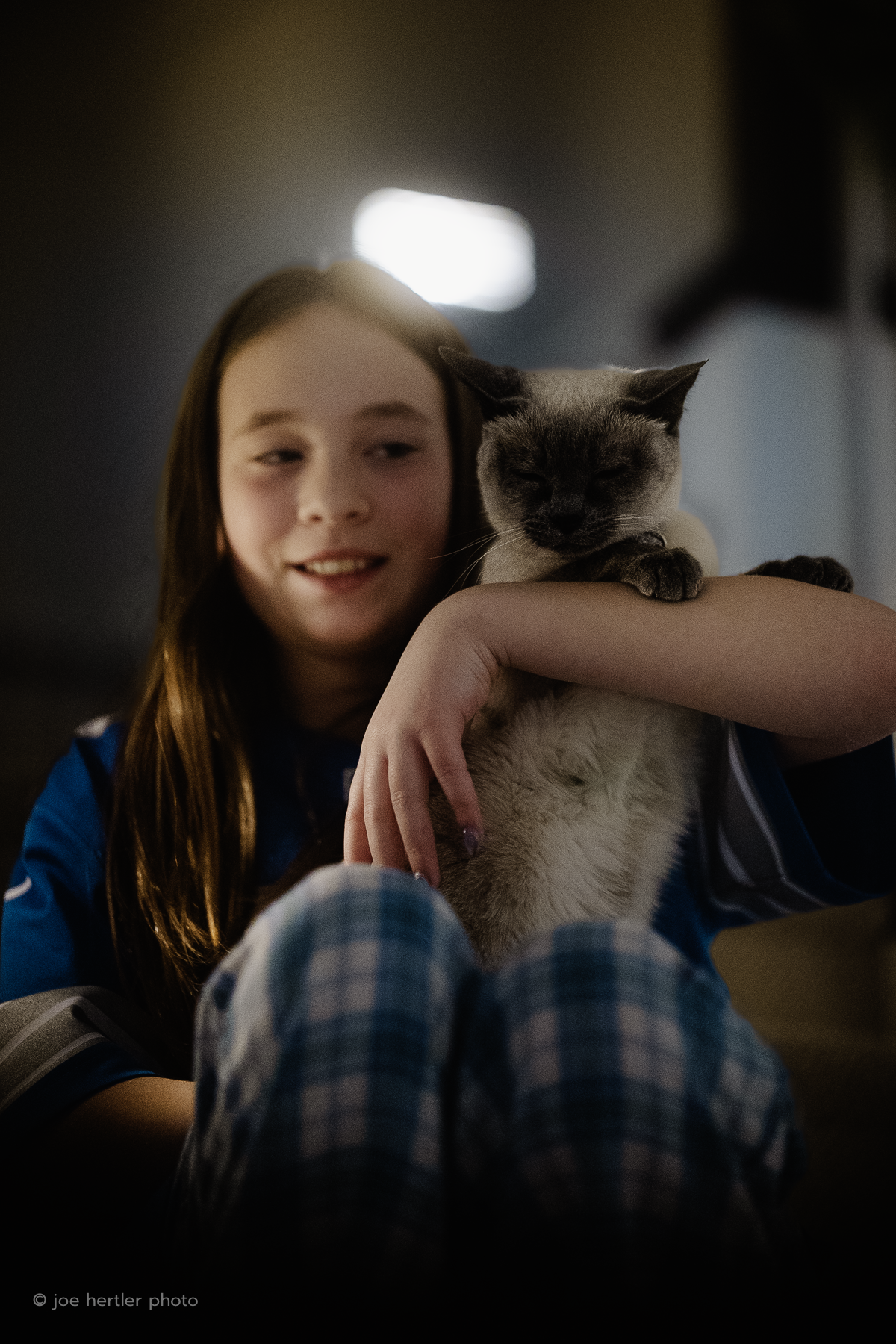 A young girl with long brown hair holding a Siamese cat on her shoulder indoors.