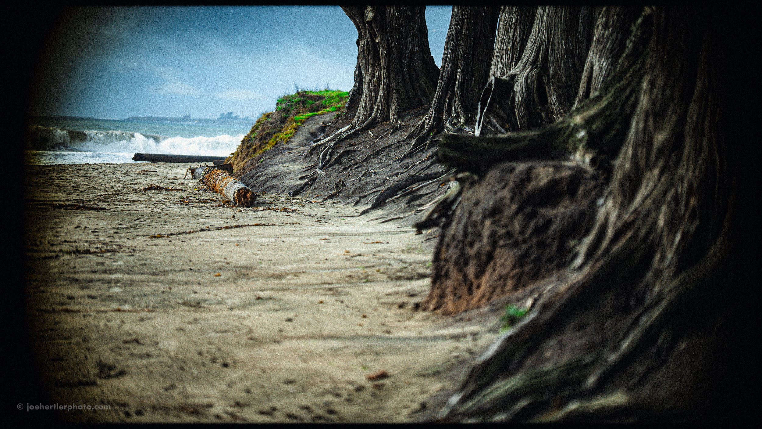 View of a sandy beach with driftwood and large tree roots along the shoreline, waves crashing in the background on a cloudy day.