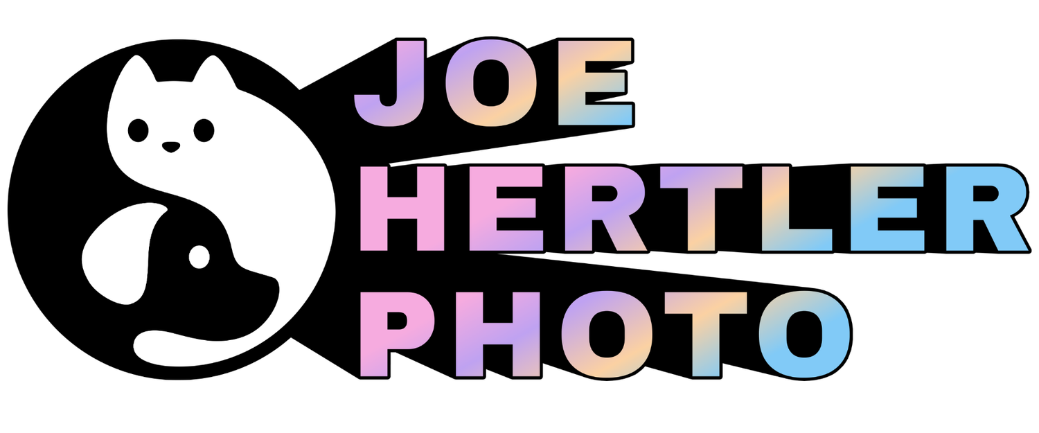 JOE HERTLER PHOTO (&amp; FILM)