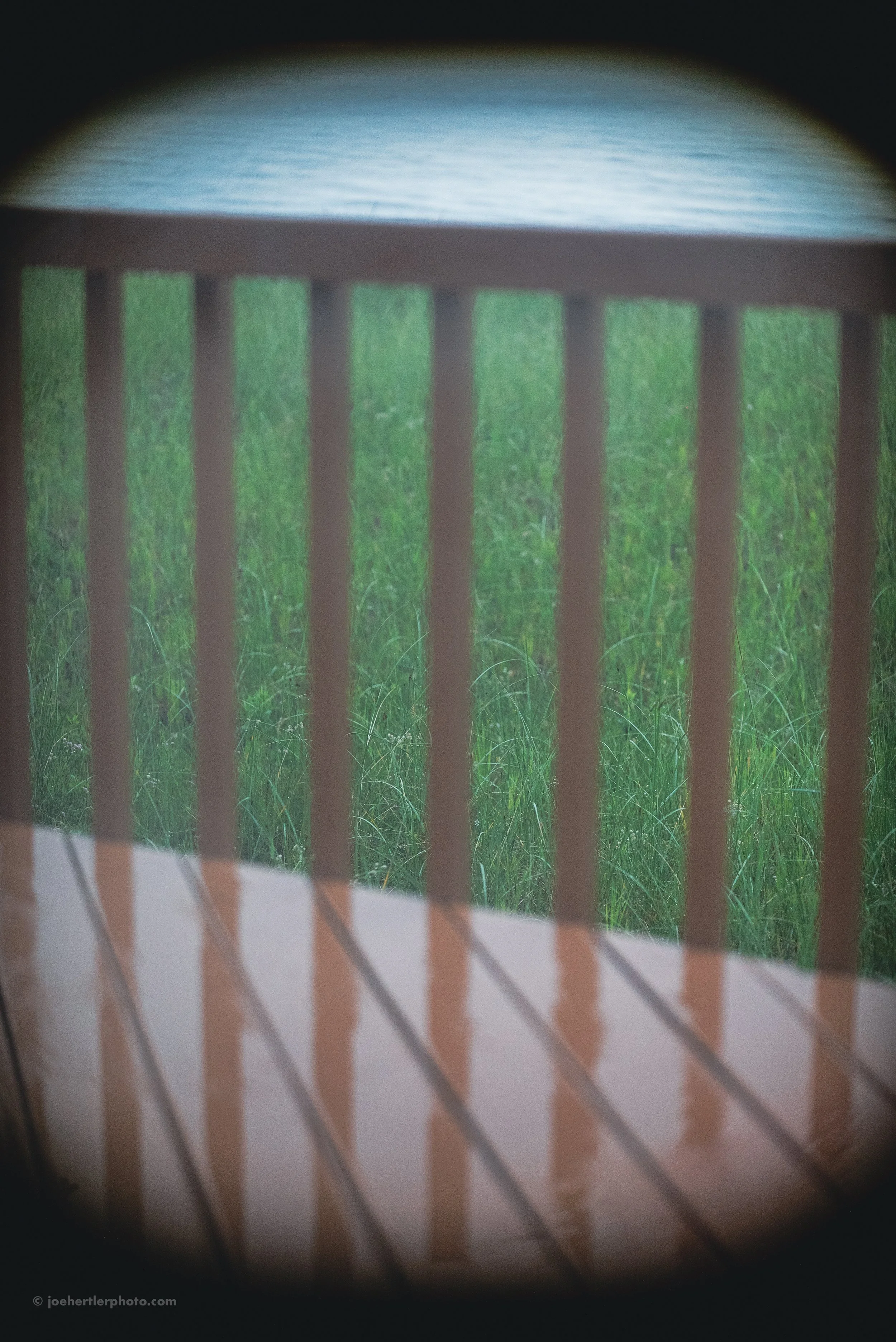 View of green grass through a window with vertical blinds, framed by a dark circular vignette.