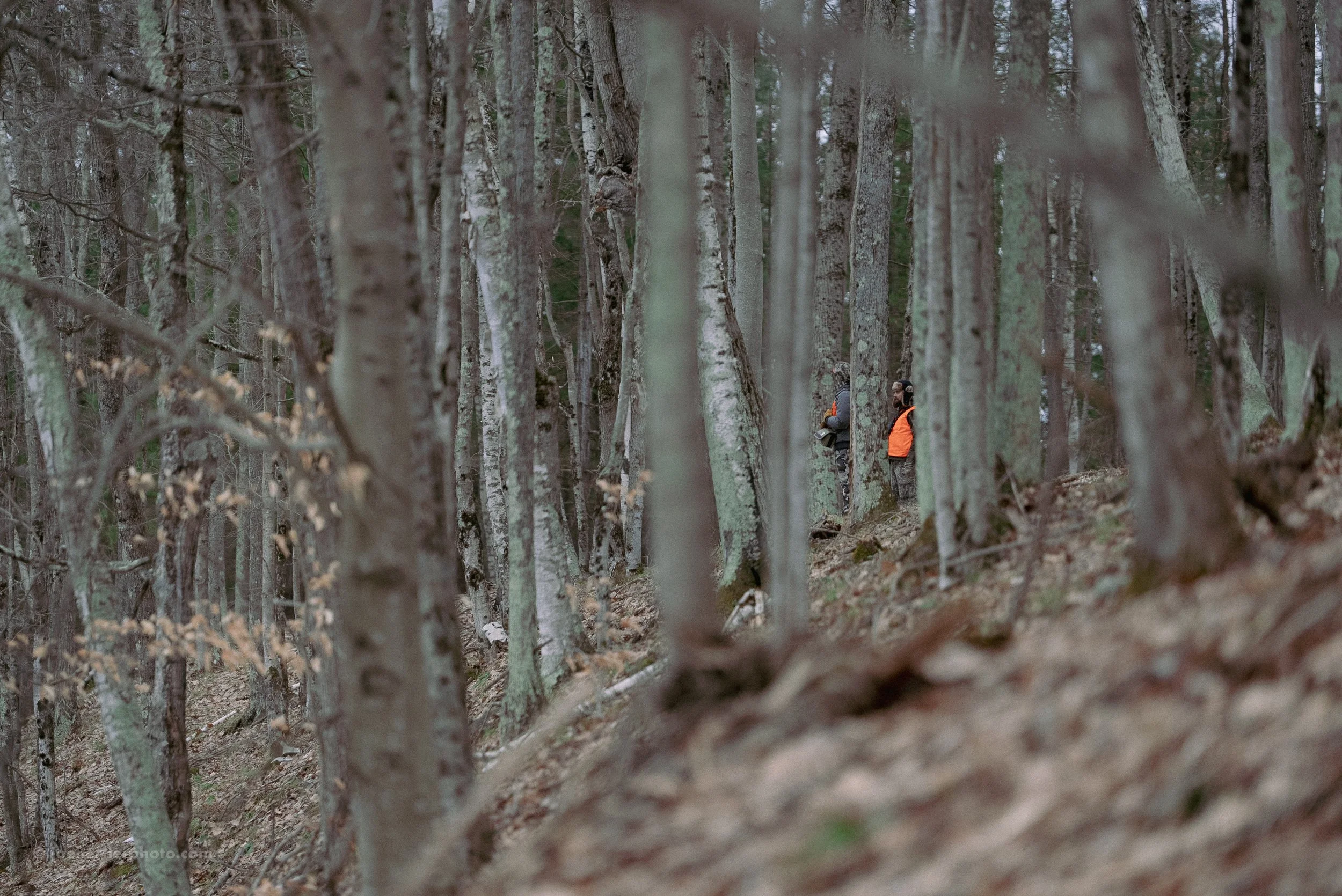 Two people standing among trees in a forest, one wearing an orange jacket and the other dressed in dark clothing, with the forest floor covered in leaves and branches.