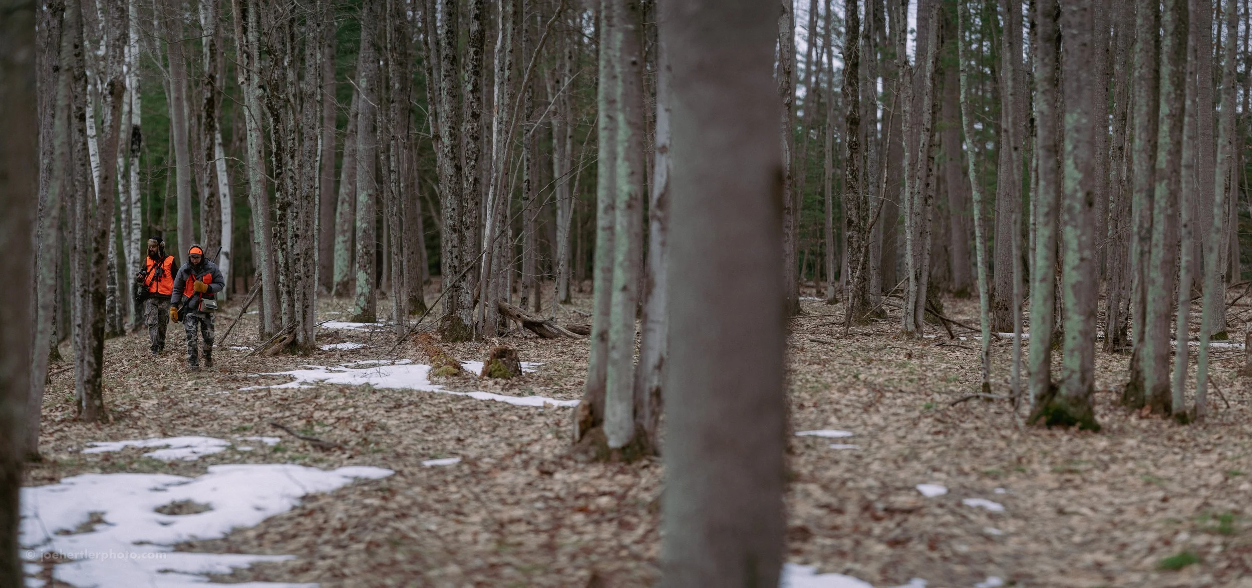 Two people carrying backpacks walk through a sparse forest with some patches of snow on the ground.