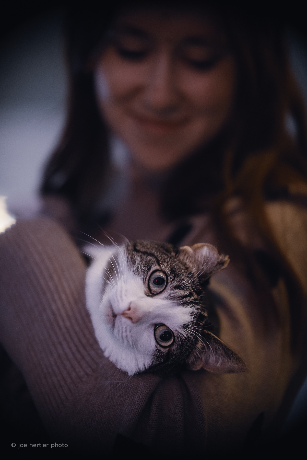 A woman holding a tabby cat with white fur on its face and chest, gazing into the camera.