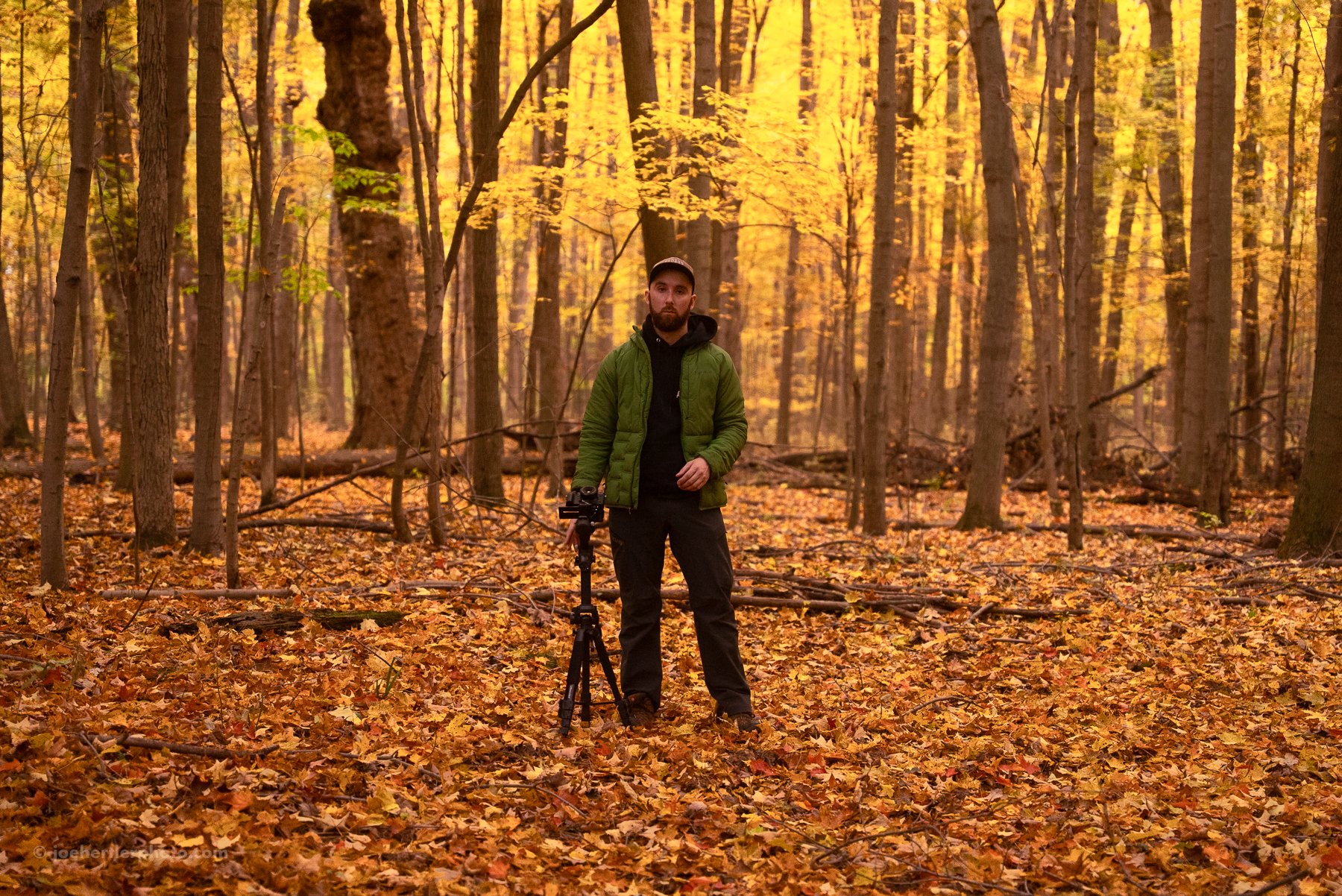 A man standing in a forest during autumn, surrounded by fallen leaves and tall trees with yellow and orange foliage, holding a camera on a tripod.