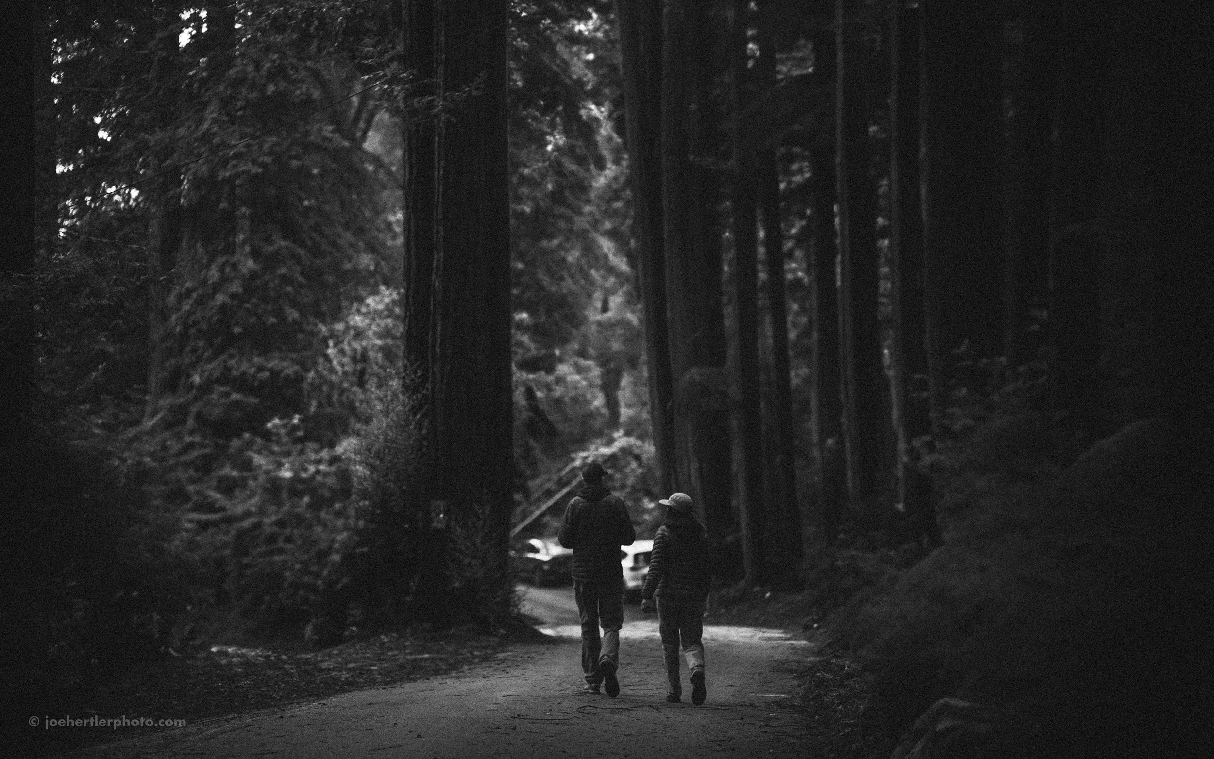 Two people are walking on a dirt path through a forest with tall trees surrounding them, captured in black and white.
