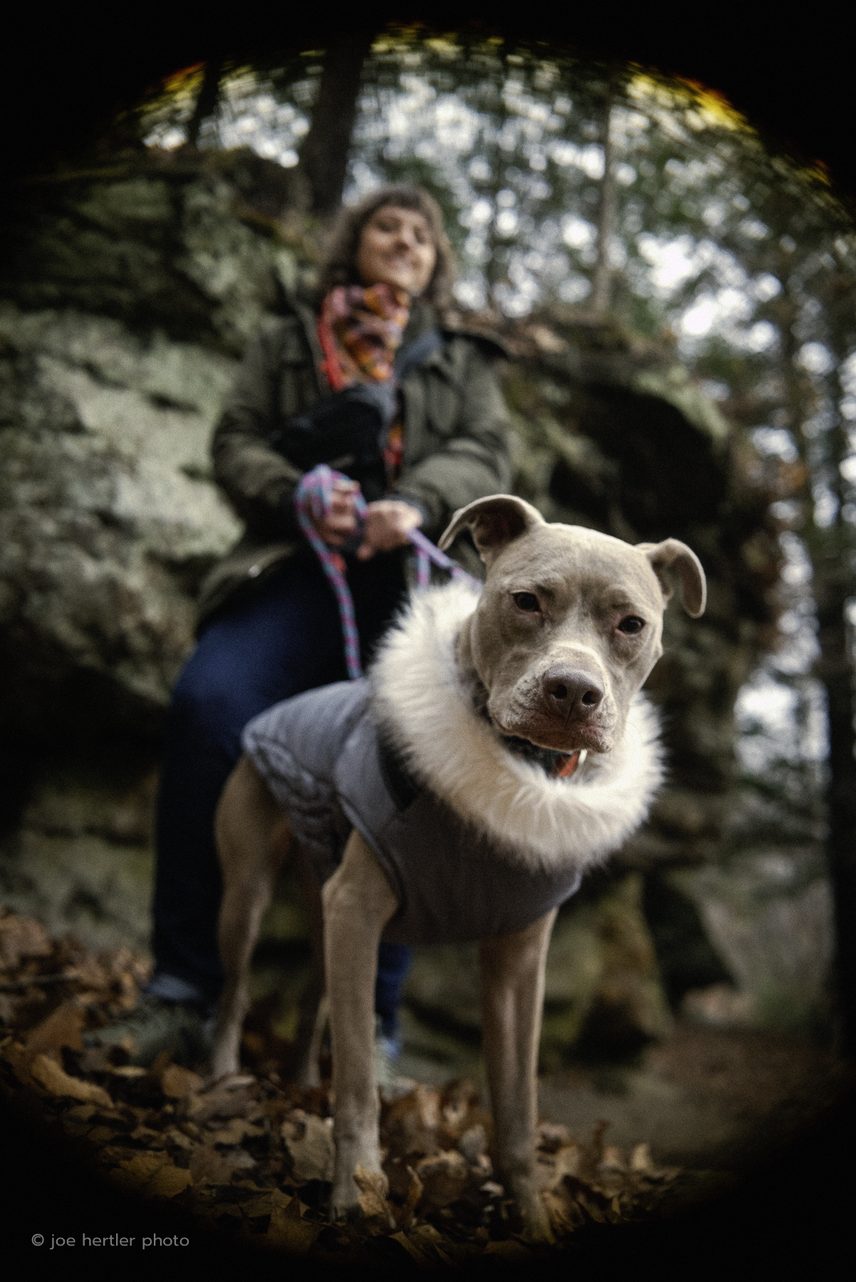 A woman hiking outdoors with her dog on a forest trail.