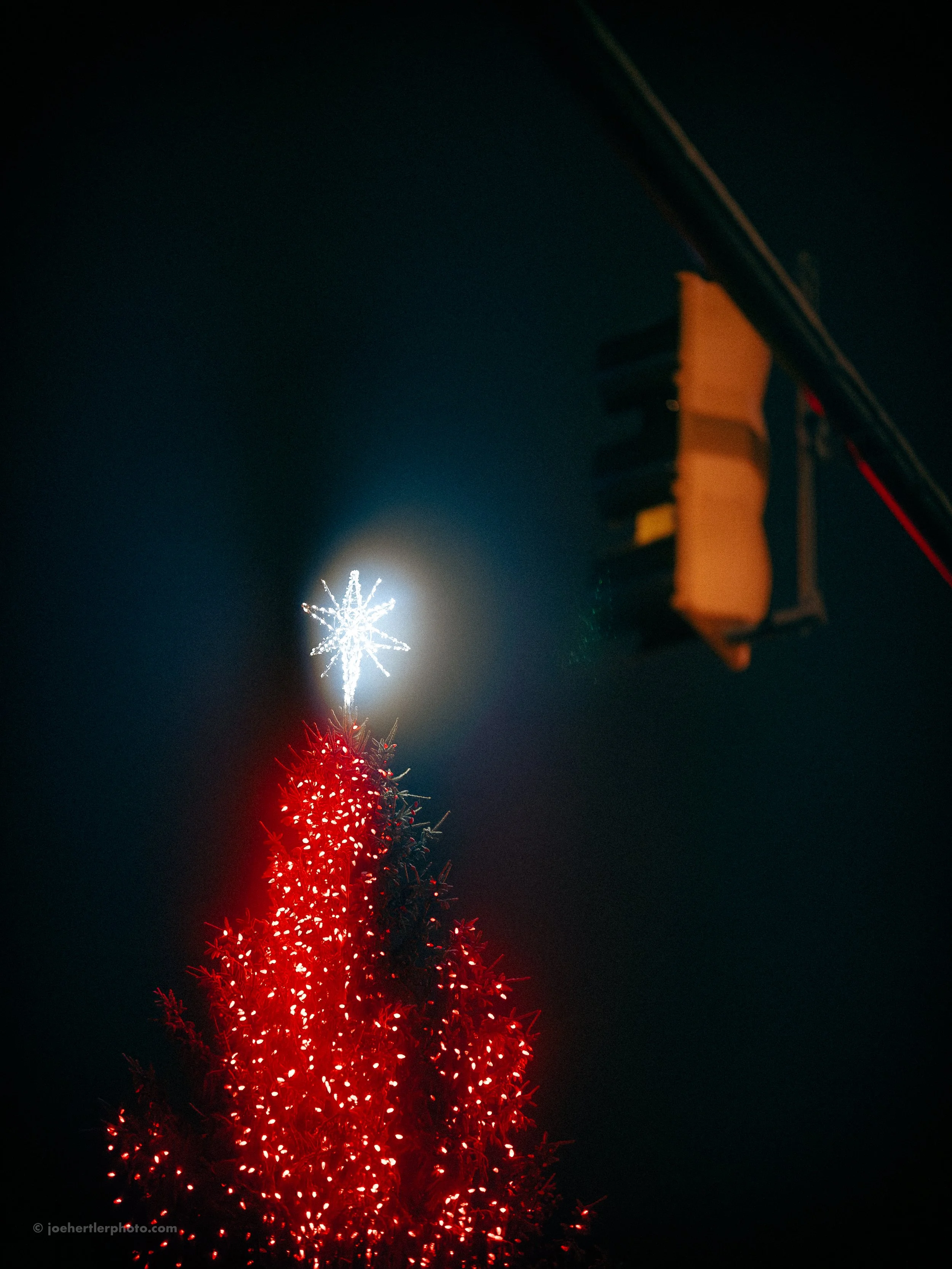 A decorated Christmas tree illuminated with red lights, topped with a white star, with a dark night sky in the background and a traffic light in the foreground.