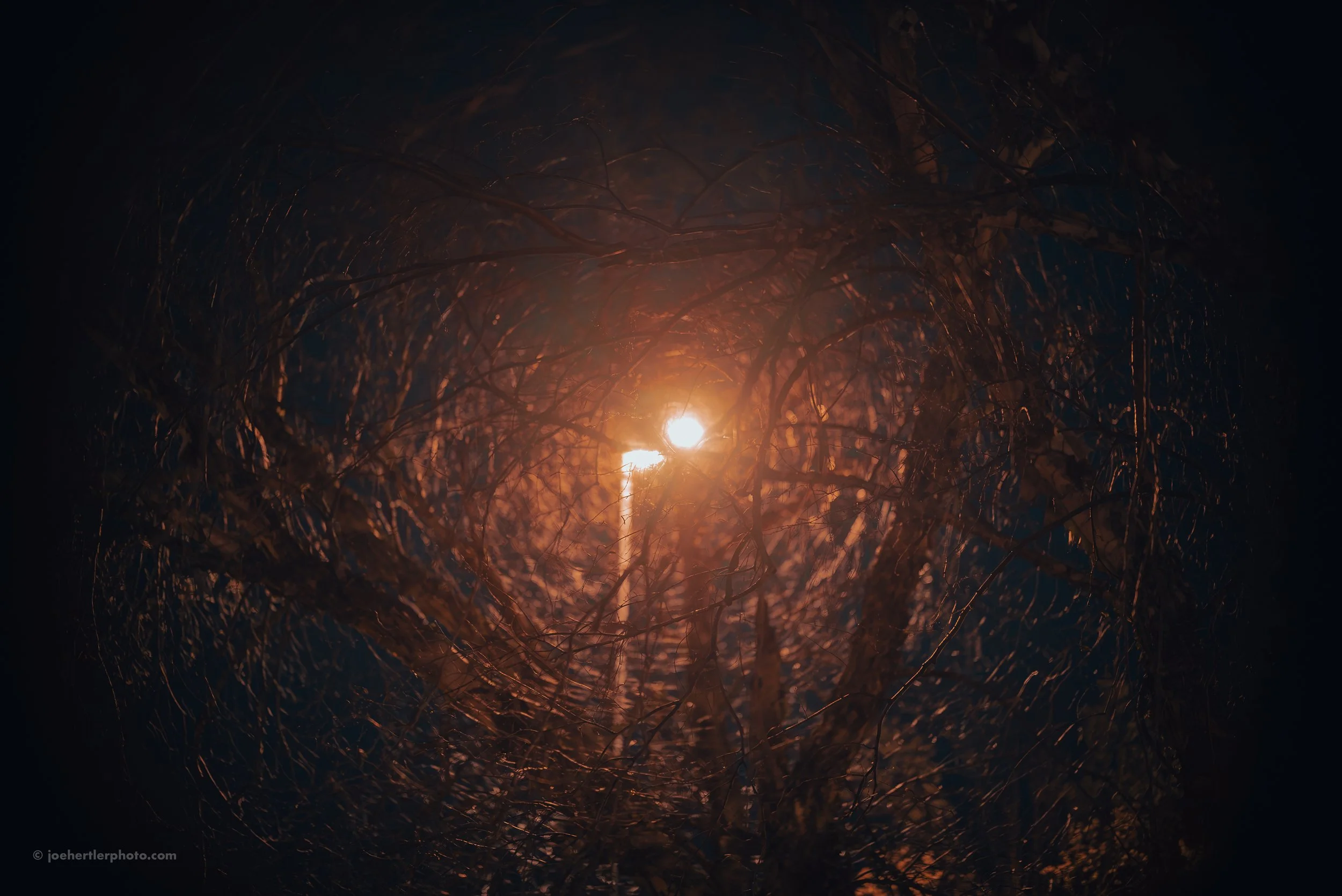 A bright light source, possibly the sun or moon, seen through a tangle of branches in a dark environment, creating a glowing effect.