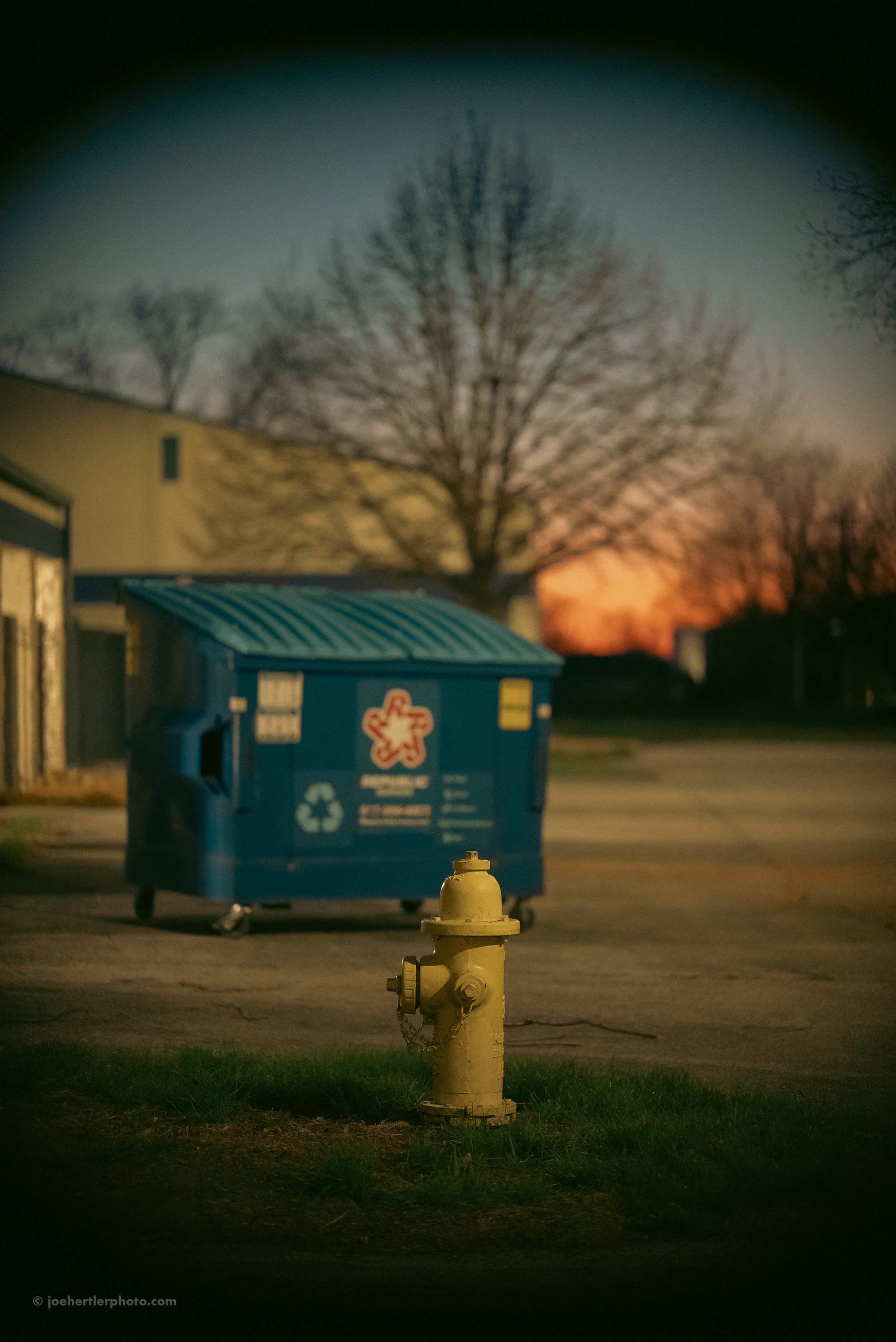 A yellow fire hydrant in the foreground with a blue recycling bin in the background during sunset, with trees without leaves and a sunset sky.