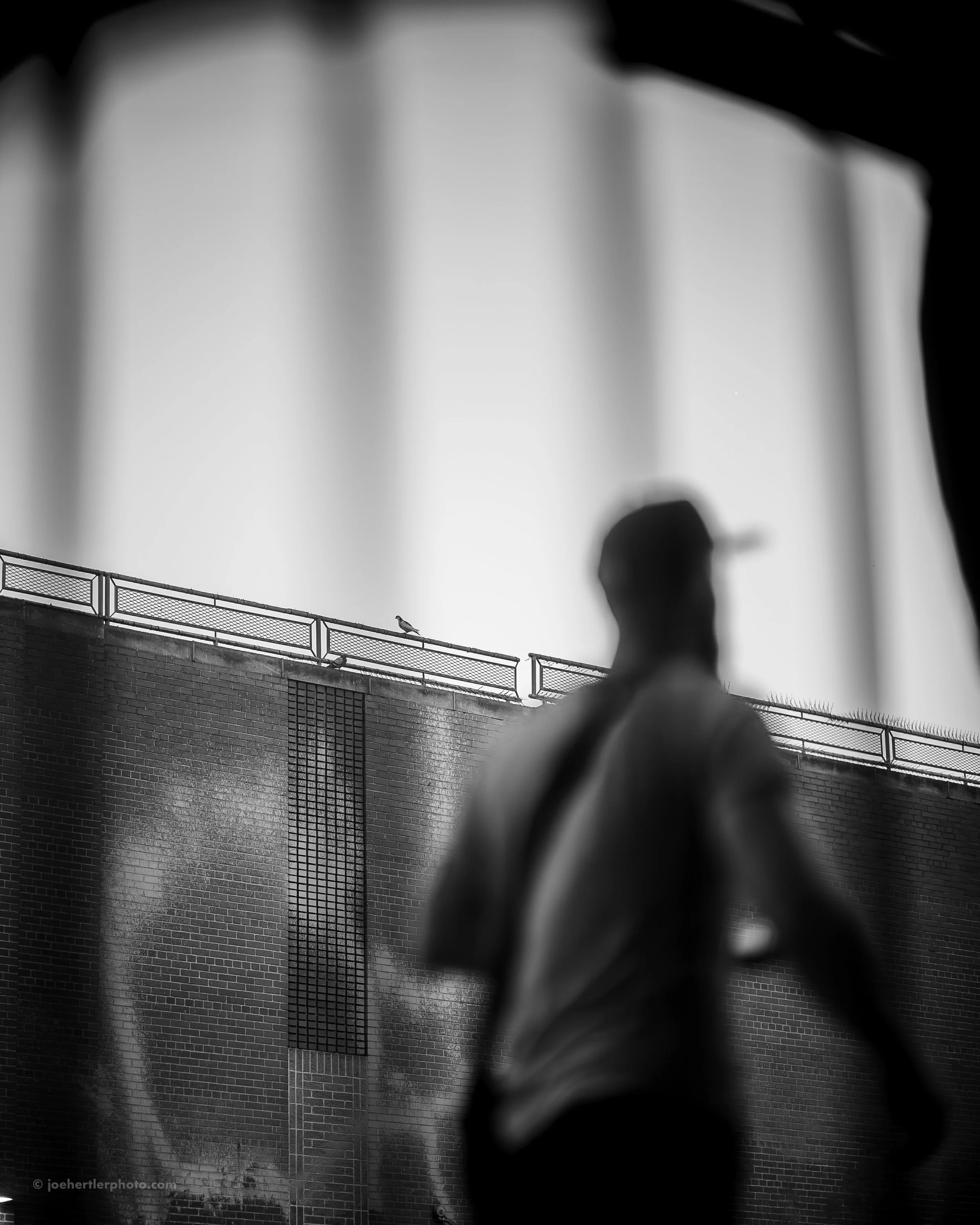 A blurry person walking in front of a brick wall with graffiti and a tall water fountain in the background, with birds perched on a railing.