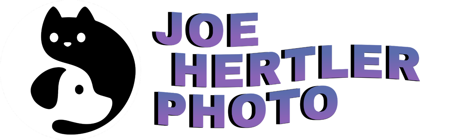 JOE HERTLER PHOTO (&amp; FILM)