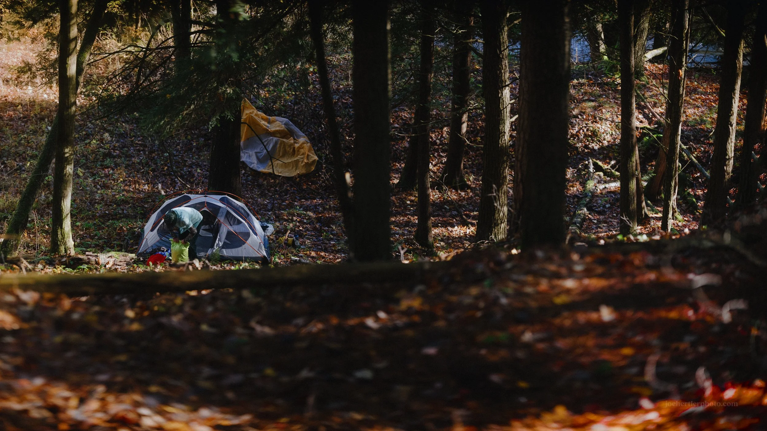 manistee-forest-pine-river-joe-hertler-photo-DT-2026-20.jpg