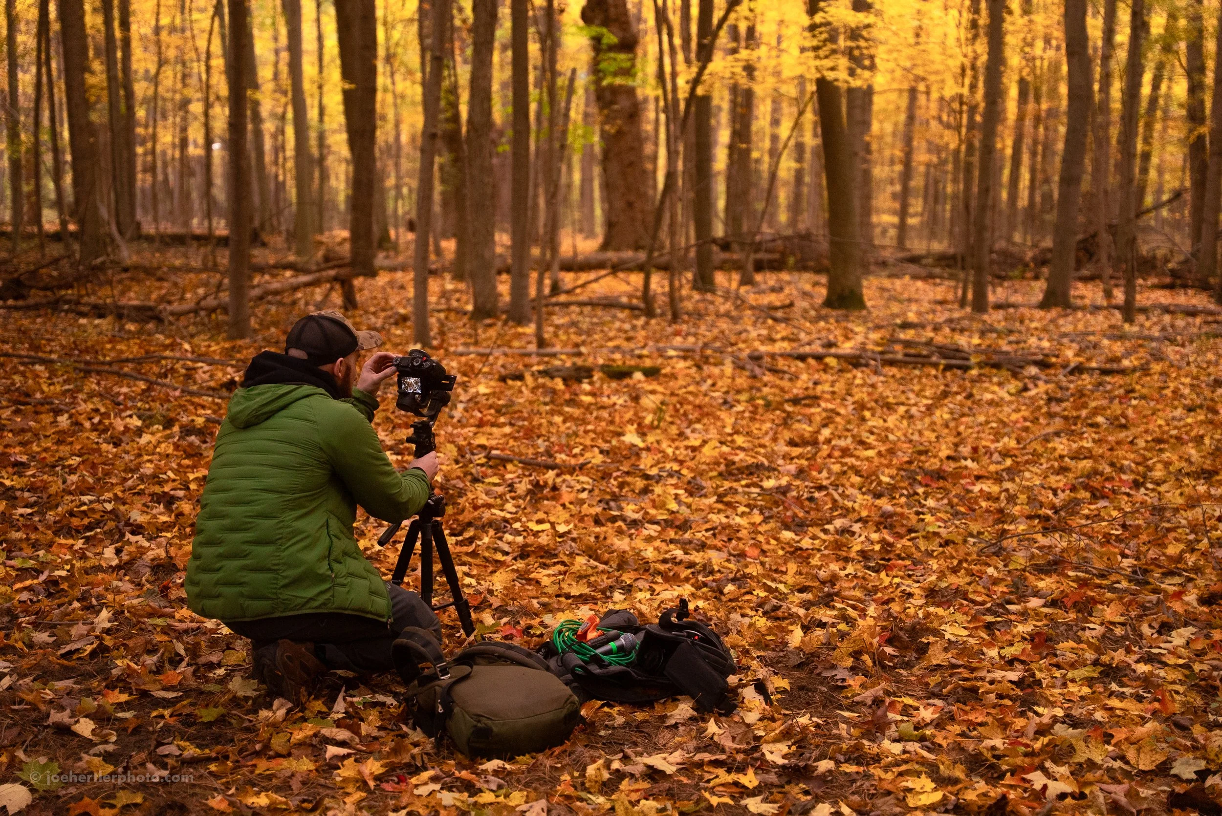 A person in a green jacket kneels on the ground in an autumn forest, taking a photograph with a camera on a tripod. Autumn leaves cover the forest floor, and trees with yellow and orange foliage are in the background.