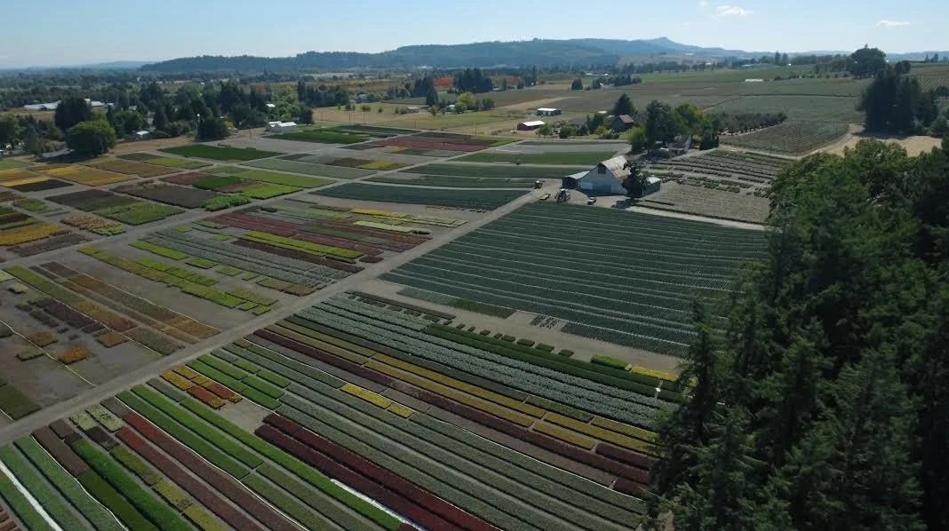 One of our many trusted wholesale growers 