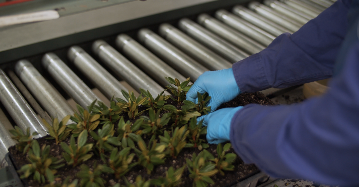 Contract grow services