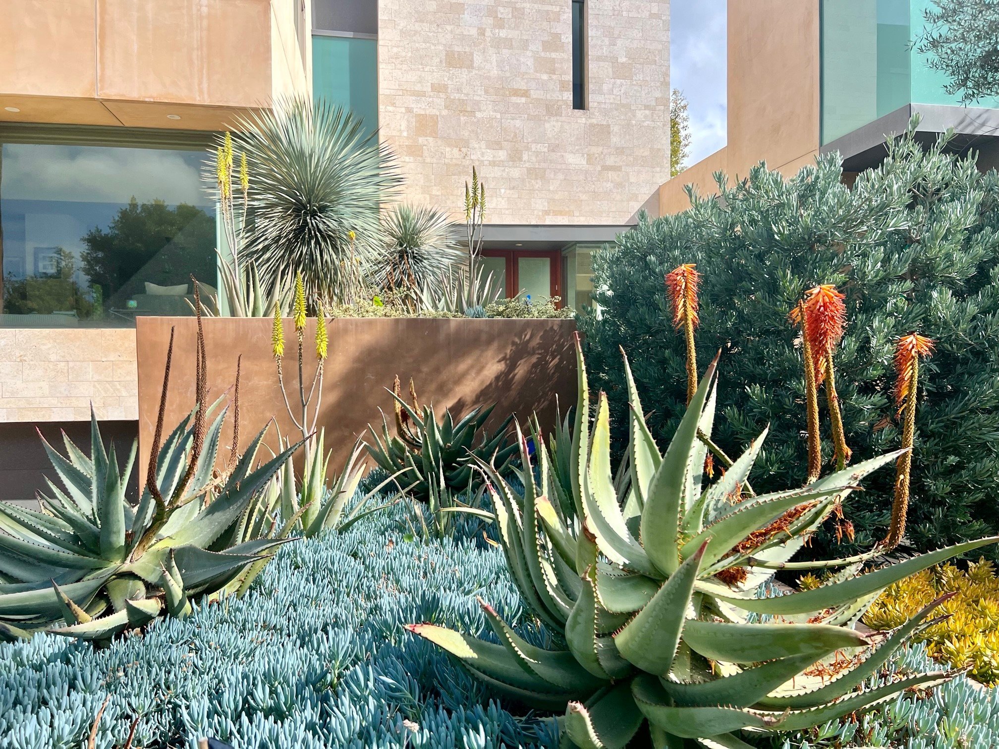 Drought Tolerant Landscape Design