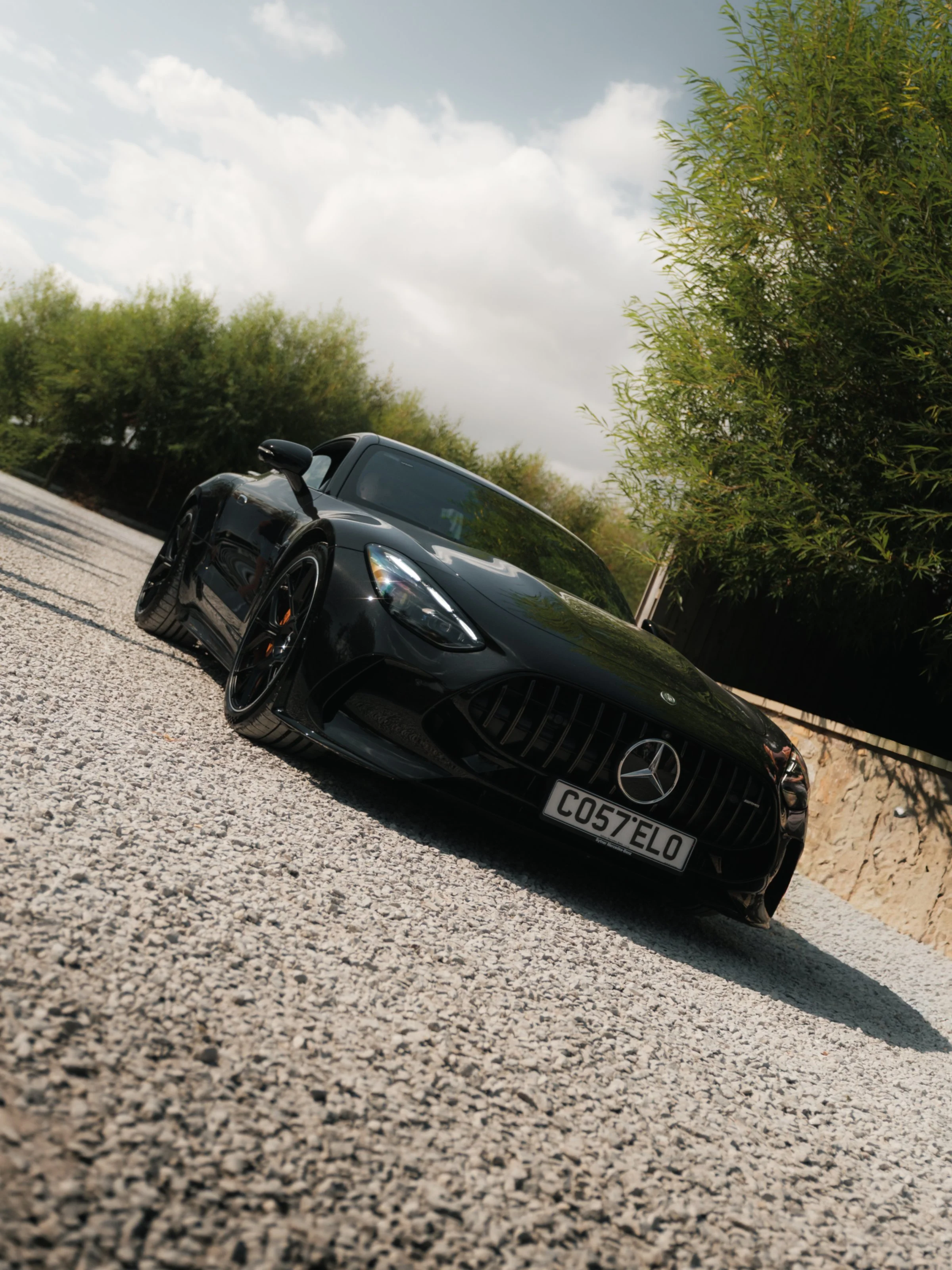1234.jpg
