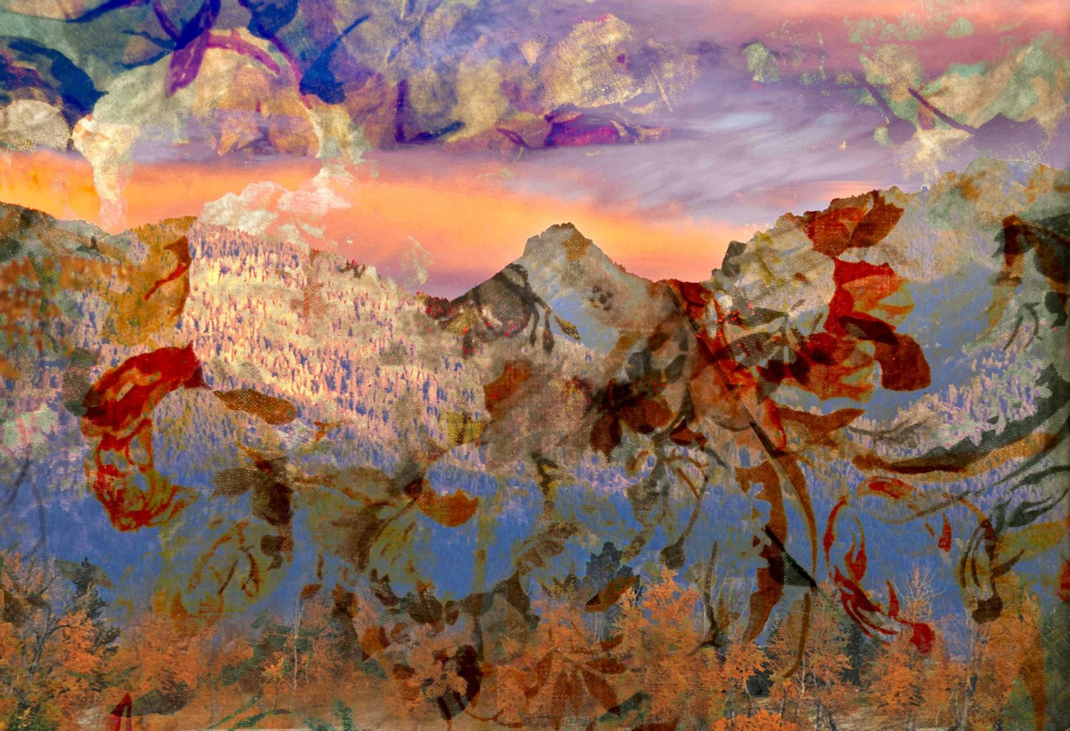 MontanaDayDream 30x20.jpg