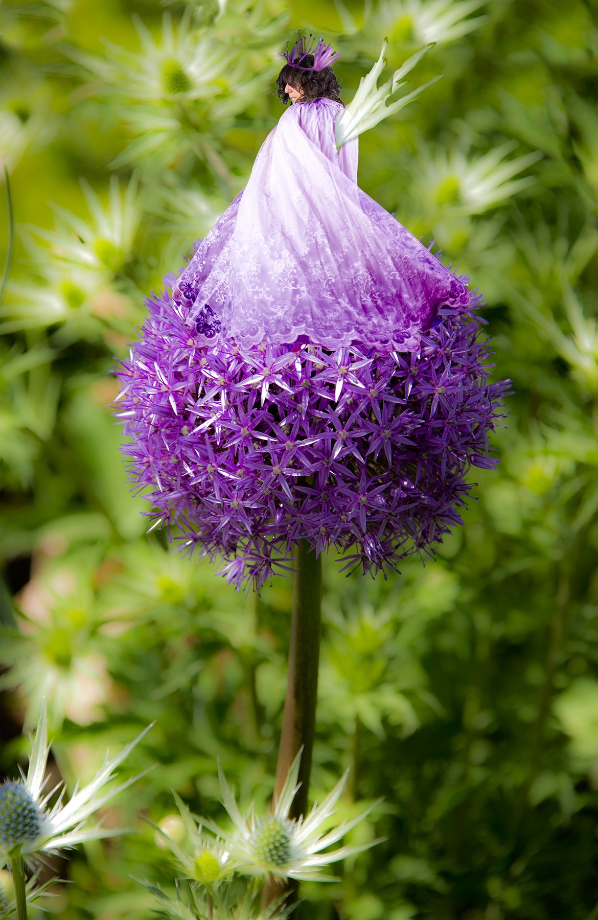 Engbrecht_Pandemic _Princess _Perched_ on_ a_ PomPom.jpg