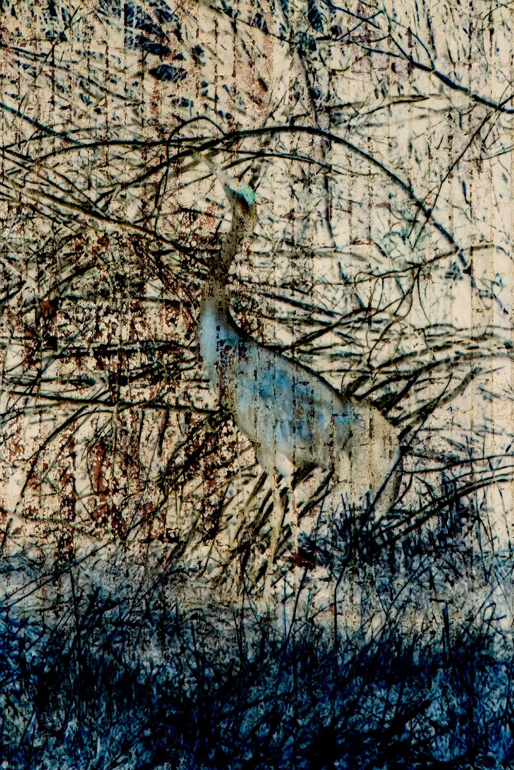 Blue Crane Entwined.jpg