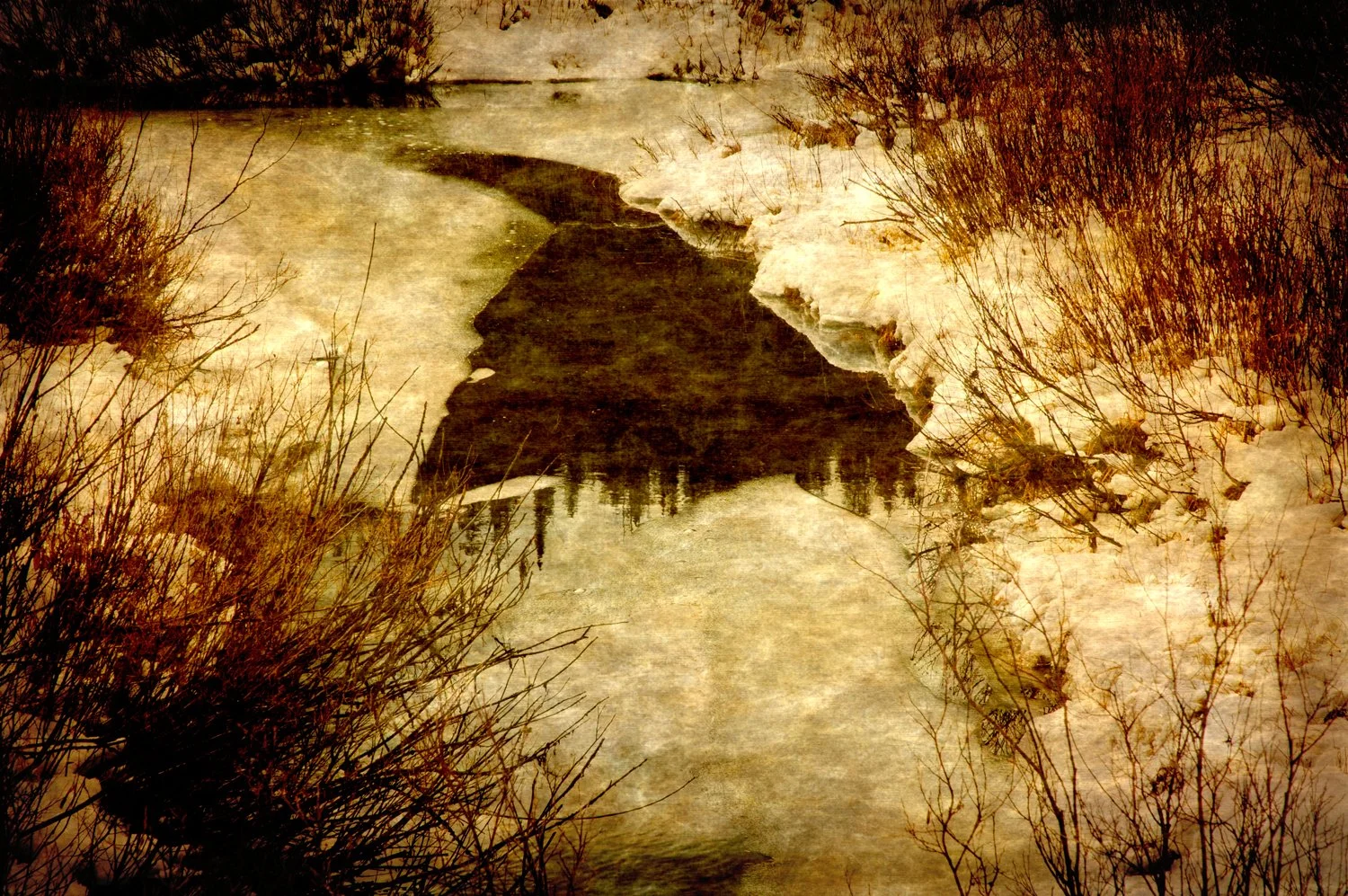 AlmostWinter (original).jpg