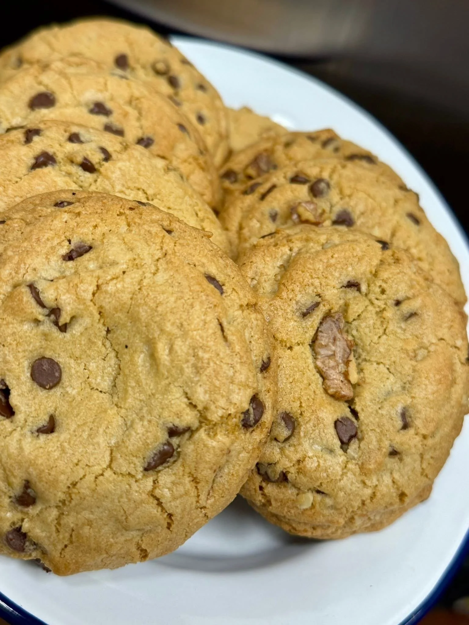 Chocolate Chip Walnut Cookie