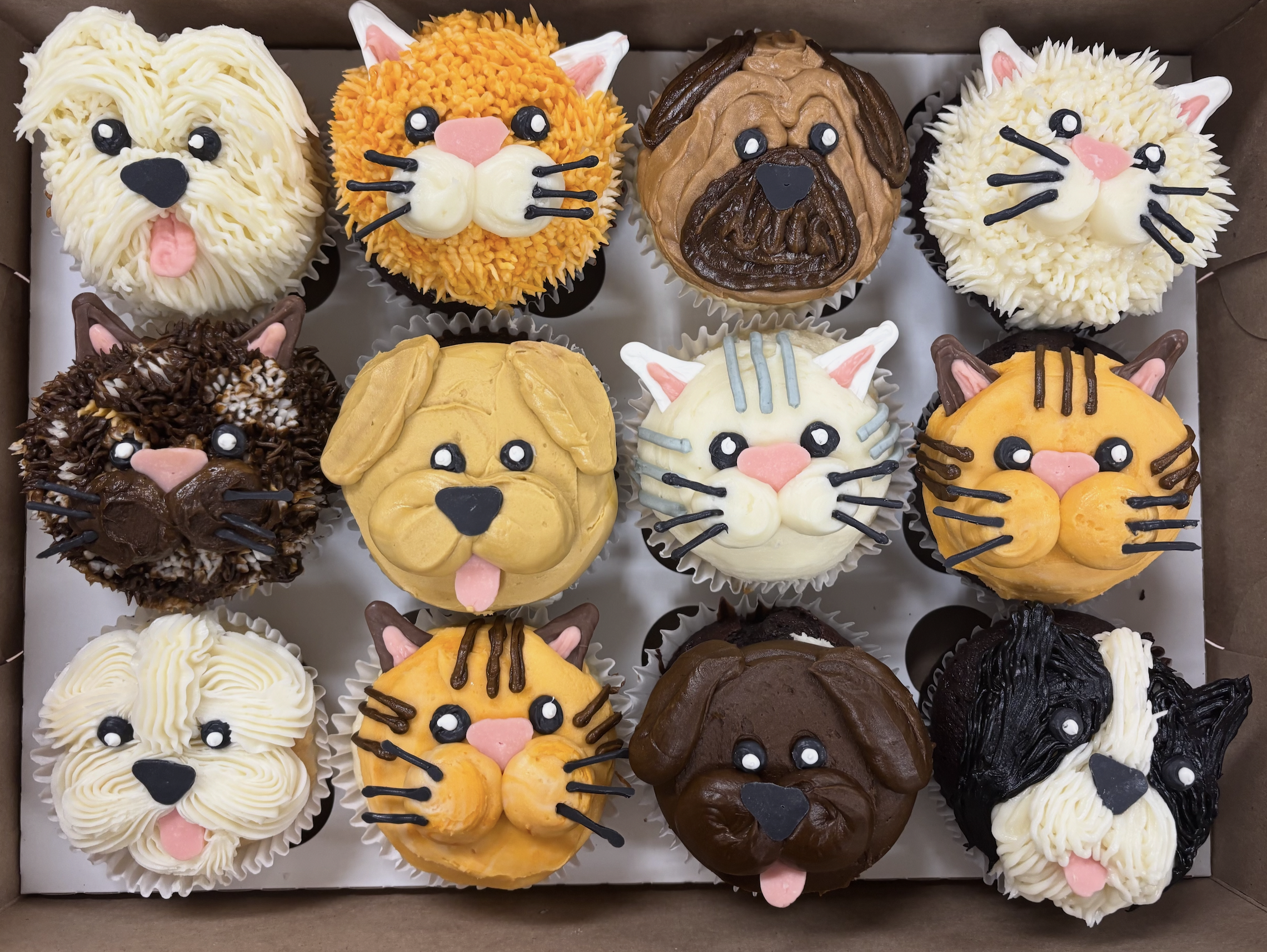 Screenshot 2026-04-06 at 8.47.58 AM.png