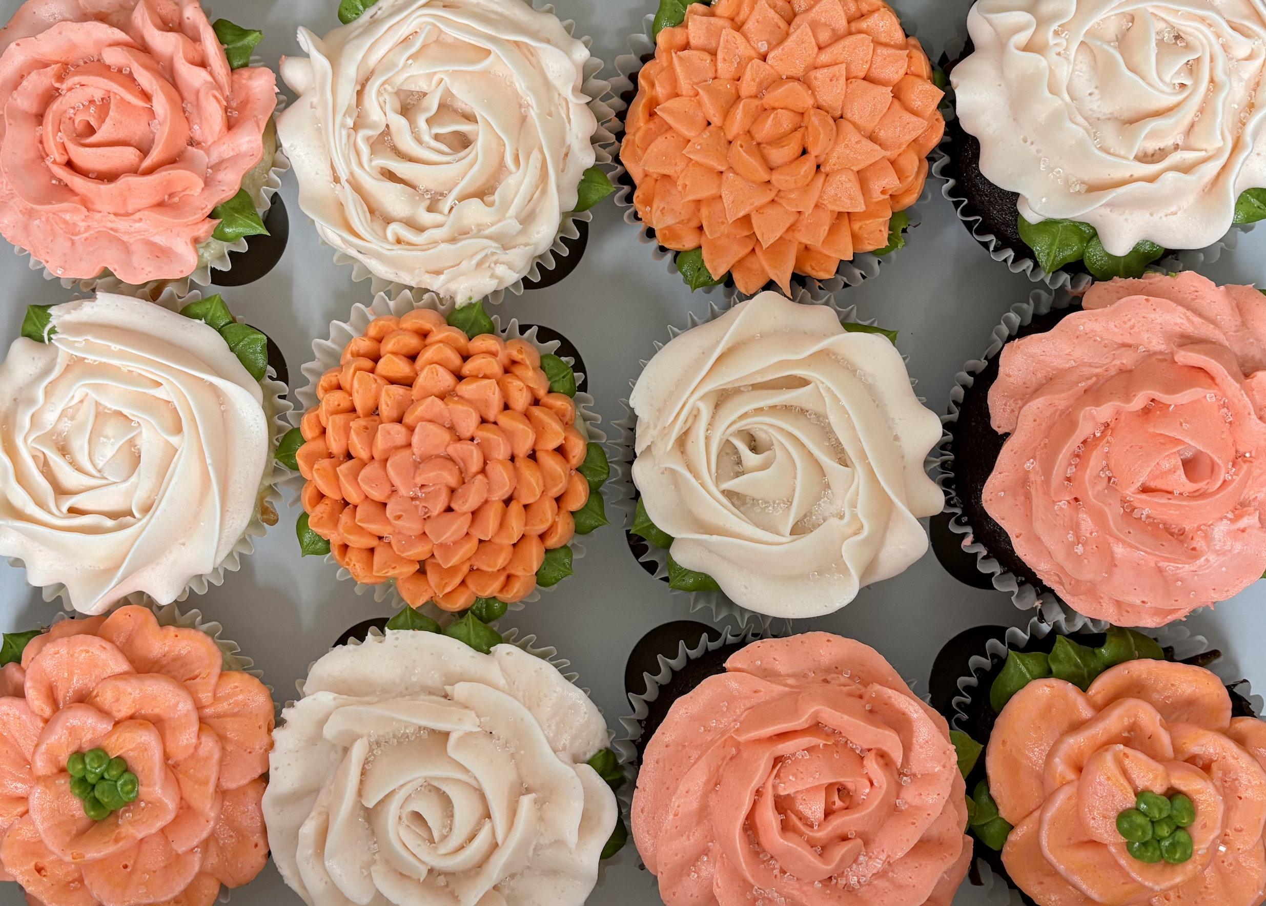 Screenshot 2026-04-06 at 8.52.51 AM.png