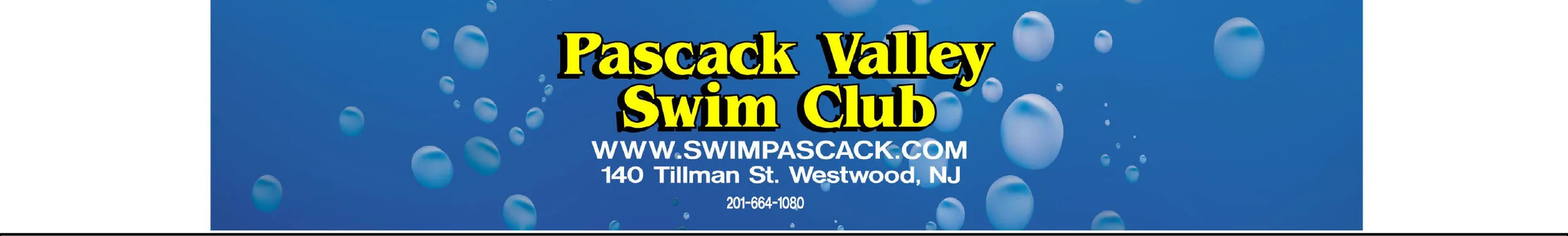 PVSC Artwork Header.jpg
