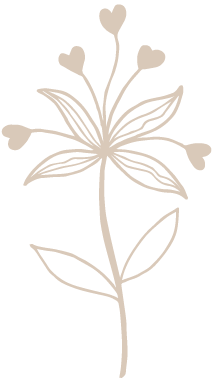 Plant drawings as a symbol of growth
