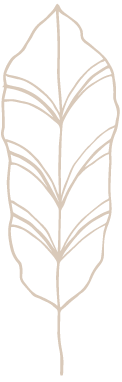 Plant drawings as a symbol of growth
