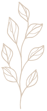 Plant drawings as a symbol of growth