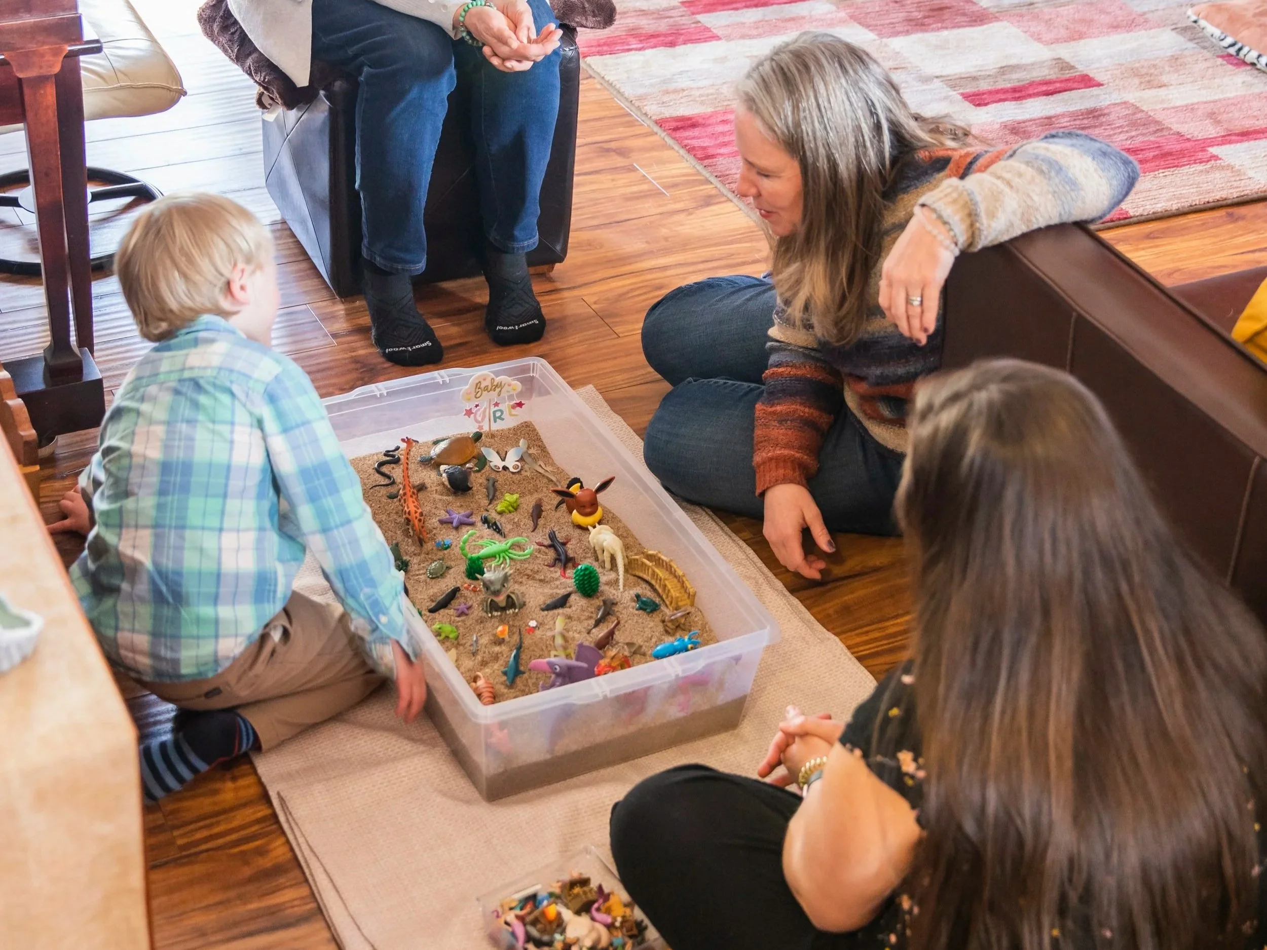 Support, families, emotional patterns, health, regulation
