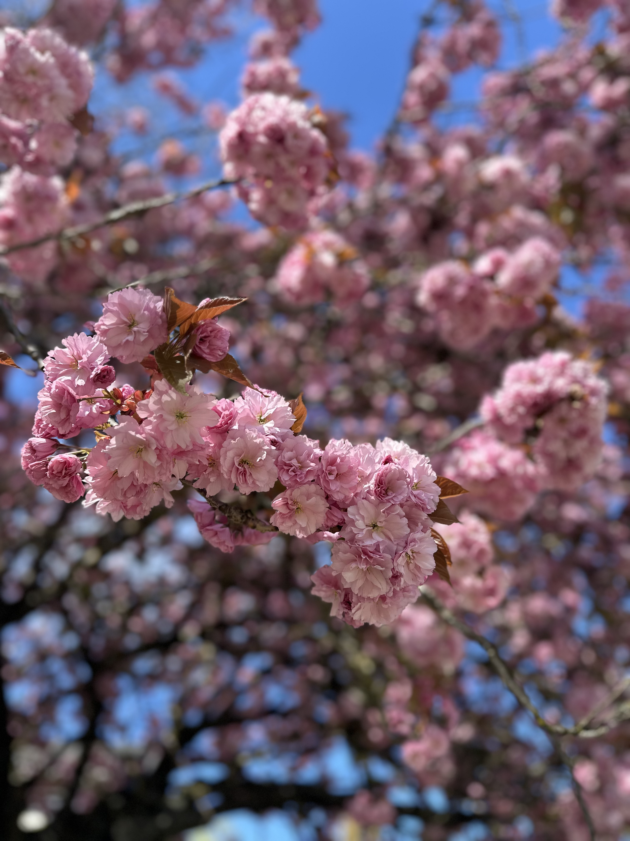 Your weekend recommendations