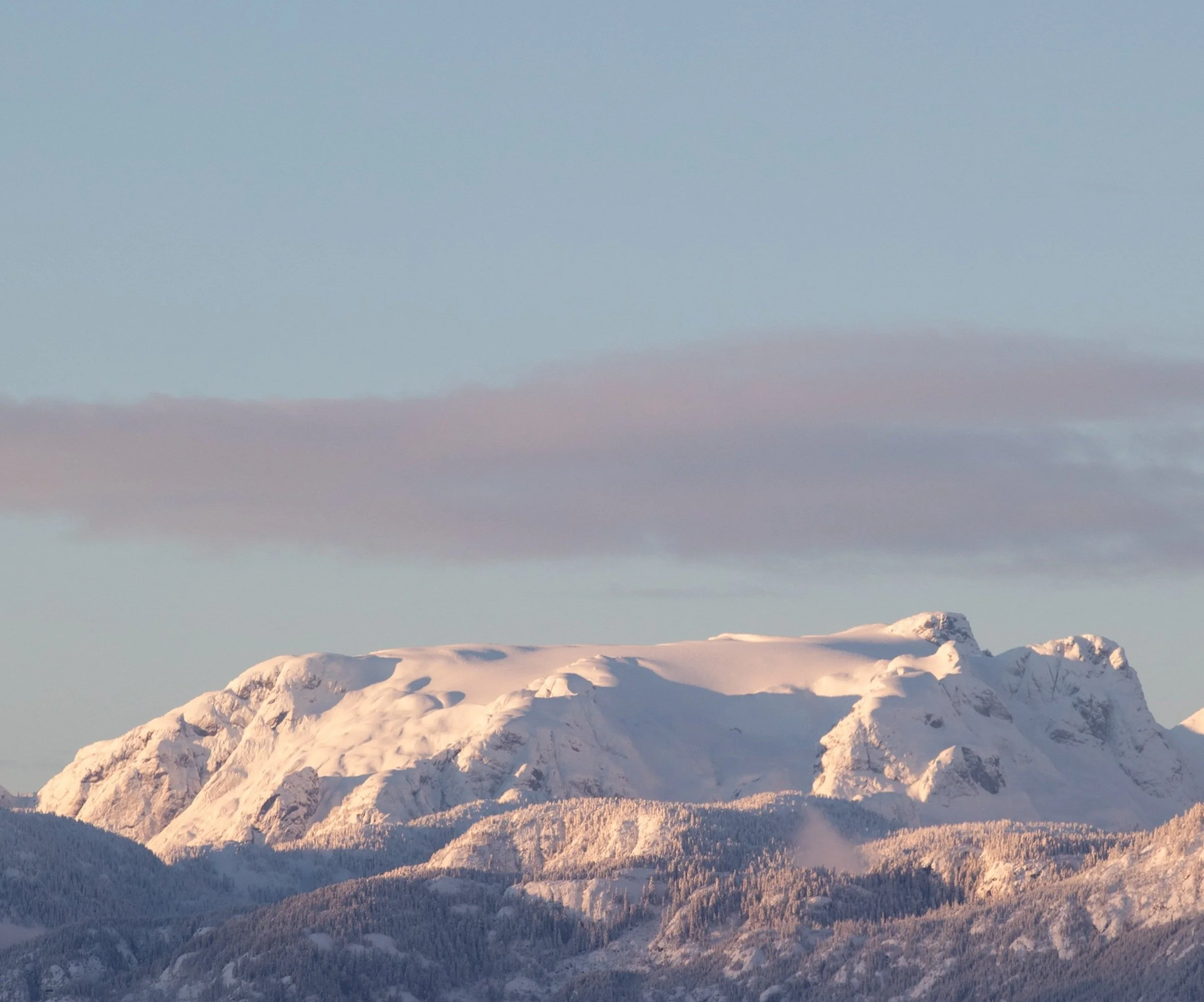 Cozy szn books, film, music, etc.