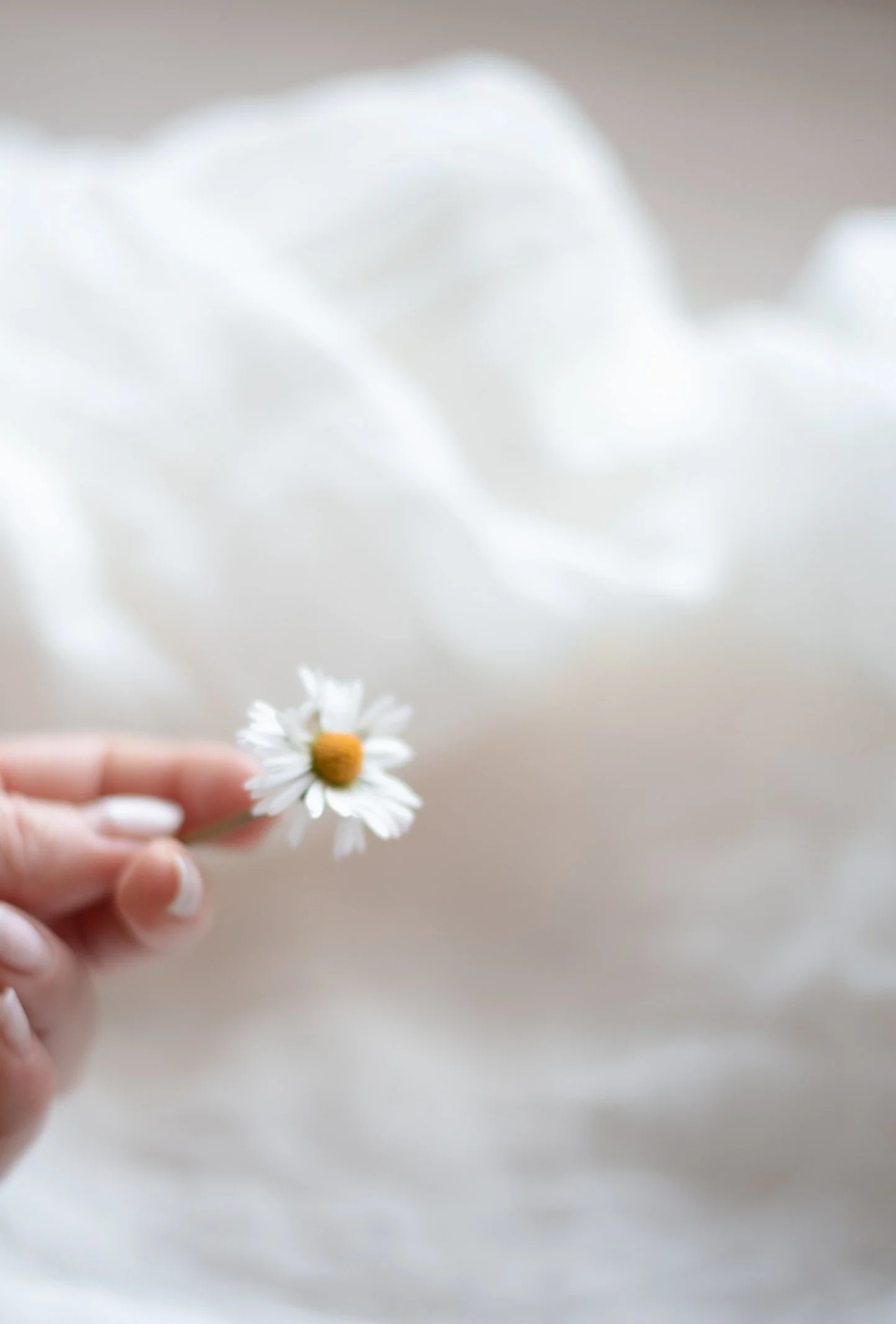 comfort books, tv, music, + skincare