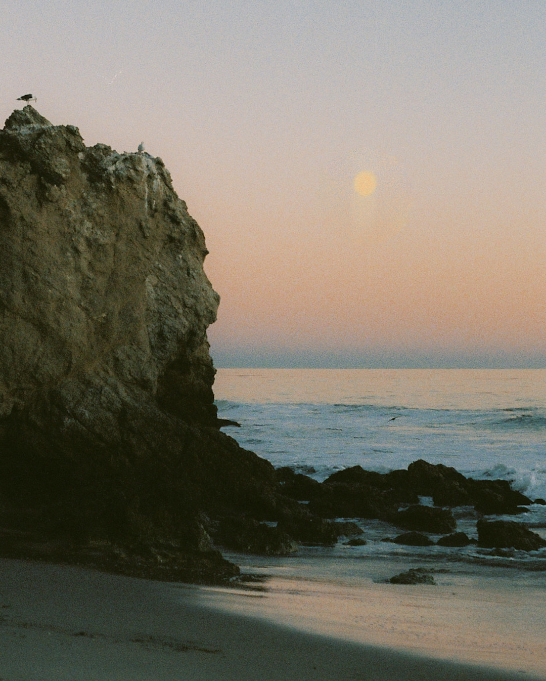 Let’s all go touch some grass