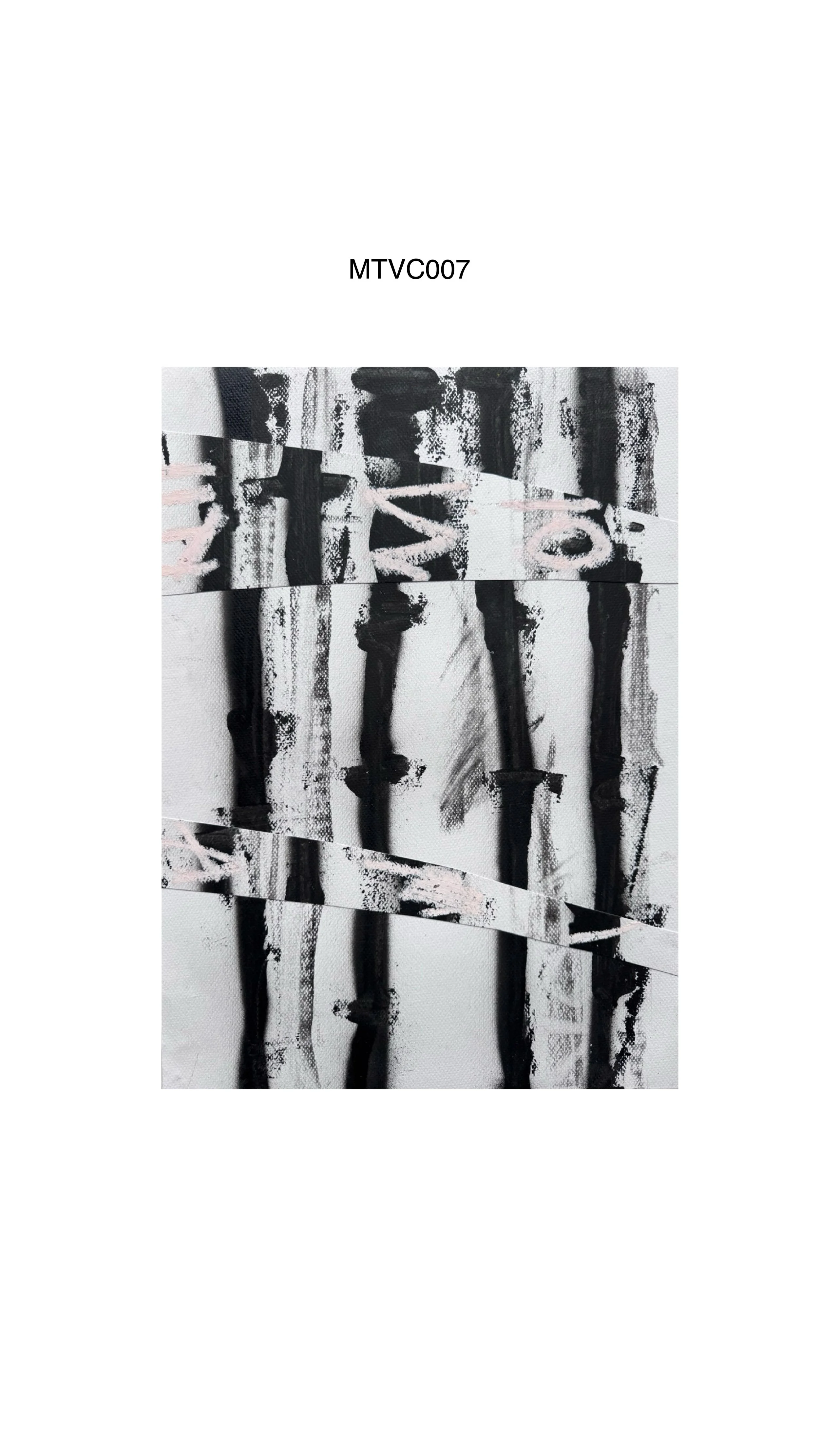 MTVC fondo blanco 07 Artboard 1 Copy 6.jpg