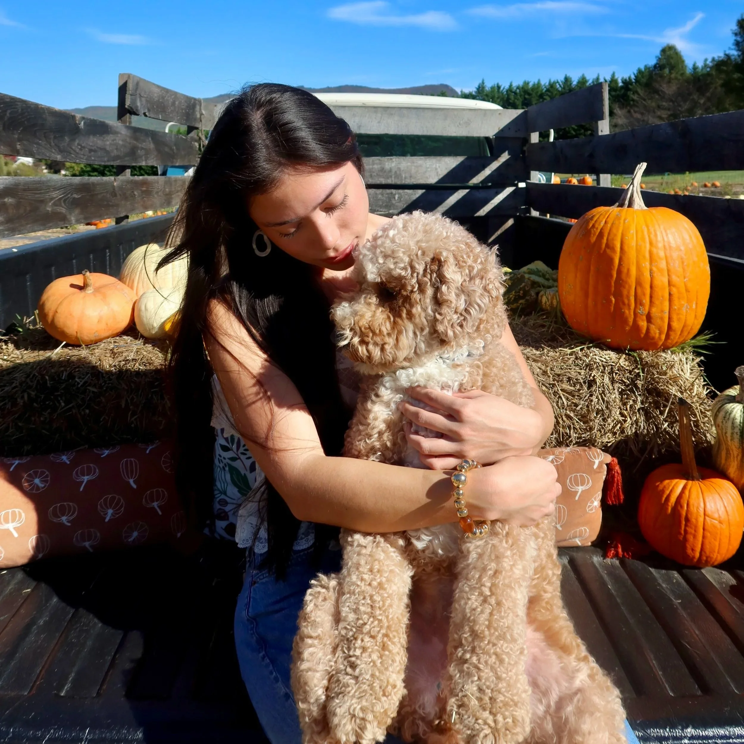 A woman holding a curly-haired dog in an outdoor pumpkin patch with pumpkins and hay bales, under a clear blue sky.