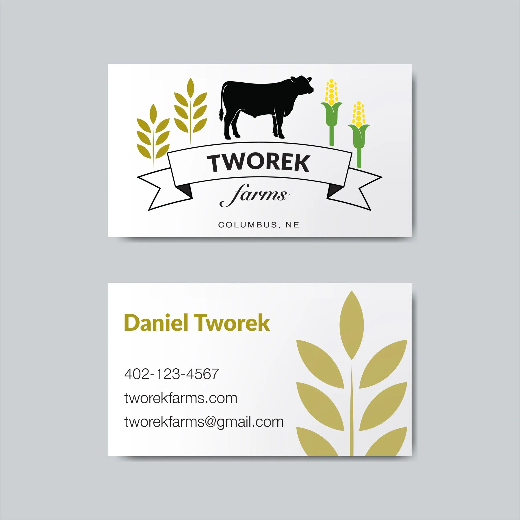 Tworek BC Mockup.jpg