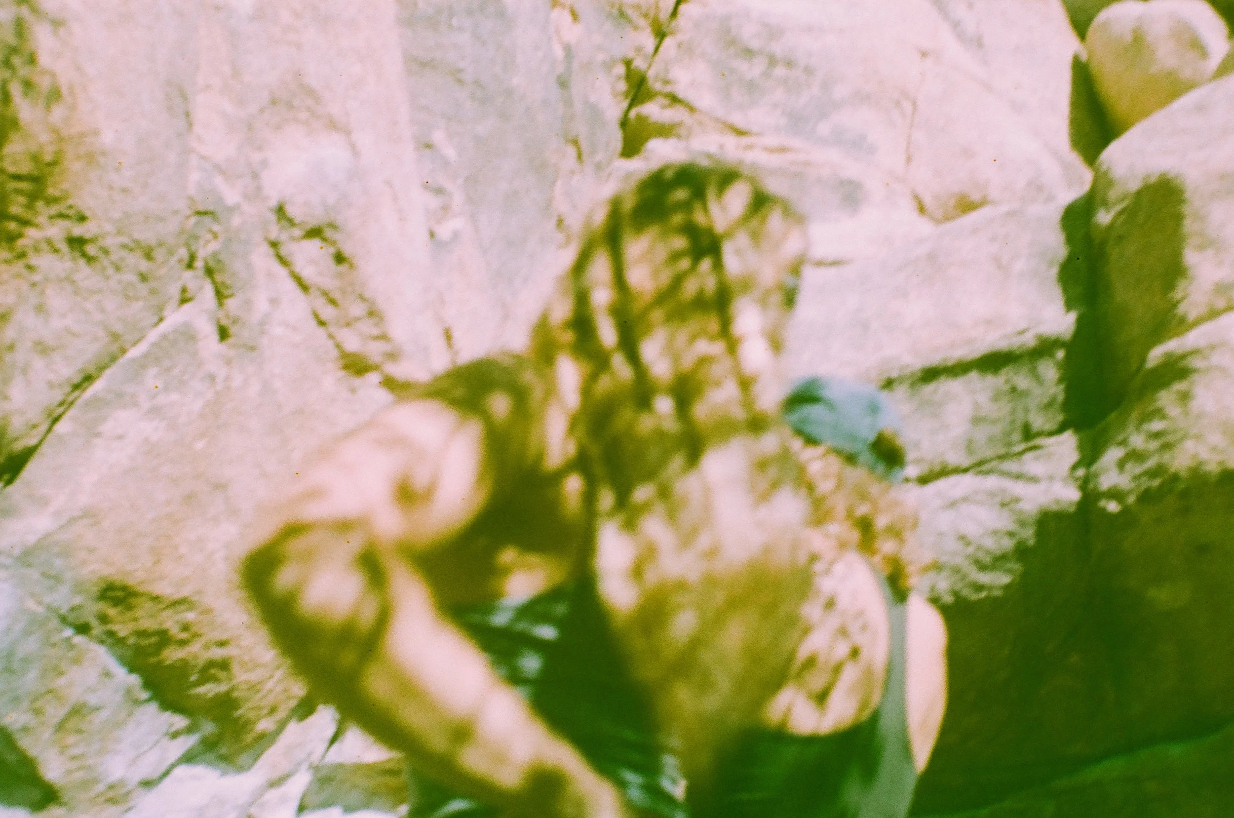 Shadows in the Desert