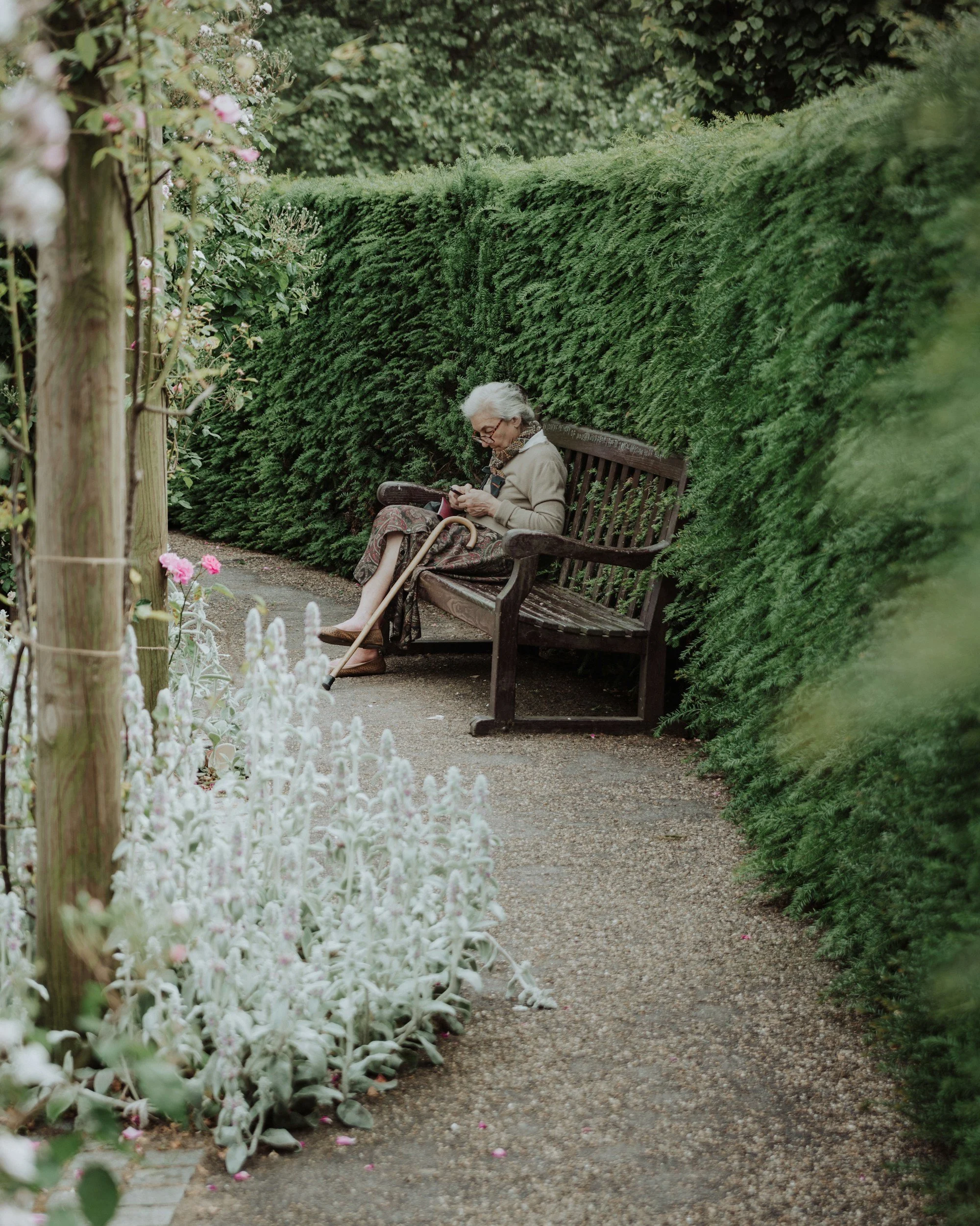 An elderly woman with white hair, glasses, and a patterned skirt sitting on a wooden bench in a garden, using her phone. The garden has a tall, dense hedge on one side and pink and white flowers on the other, with a gravel pathway.