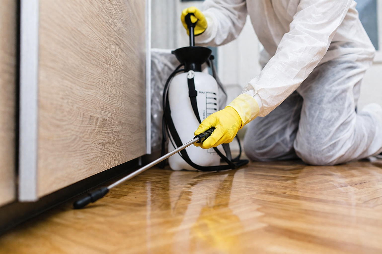 Person in protective suit and yellow gloves using a sprayer equipment to spray pesticide on the floor.