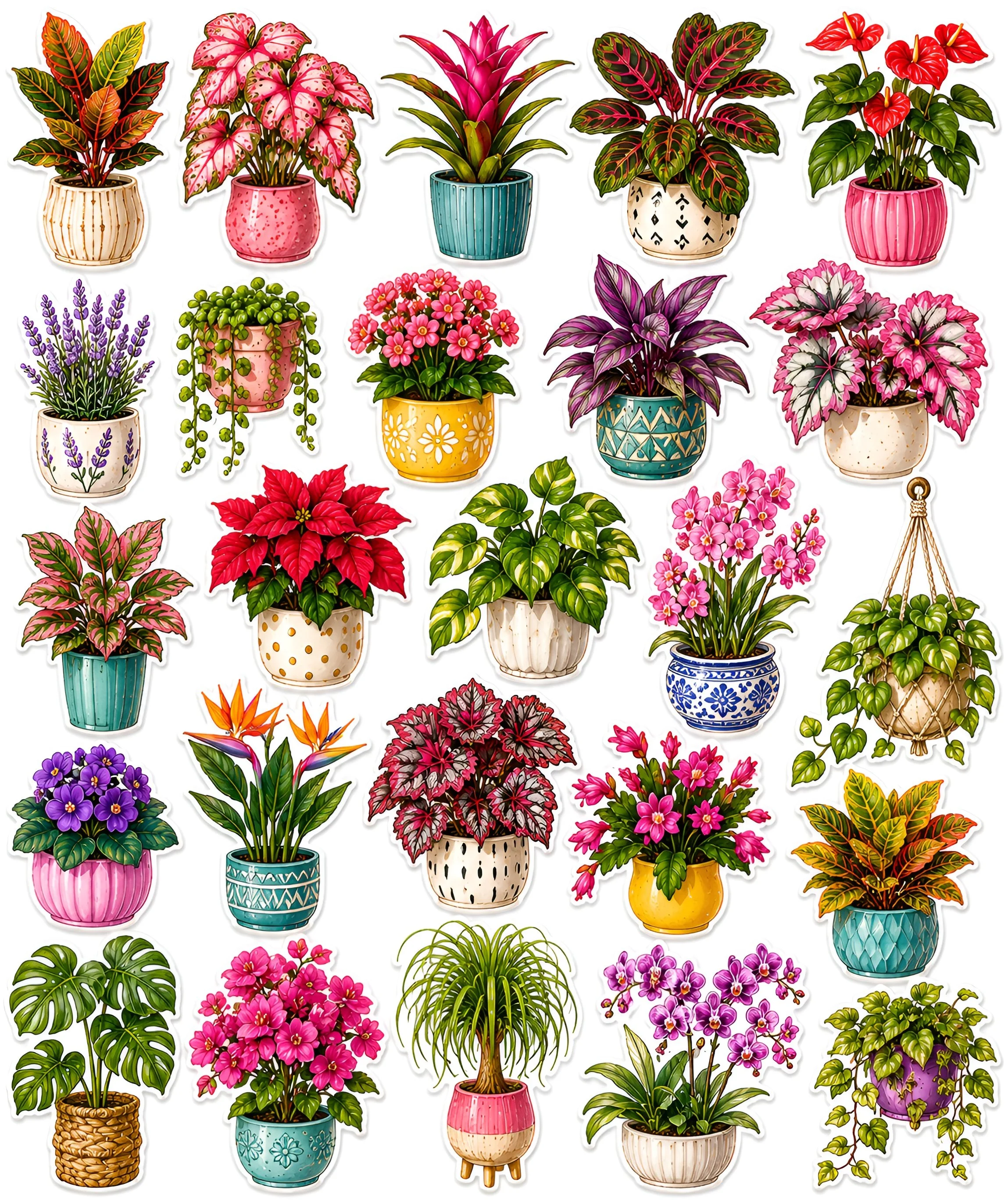 Colorful Potted Plants (1).png