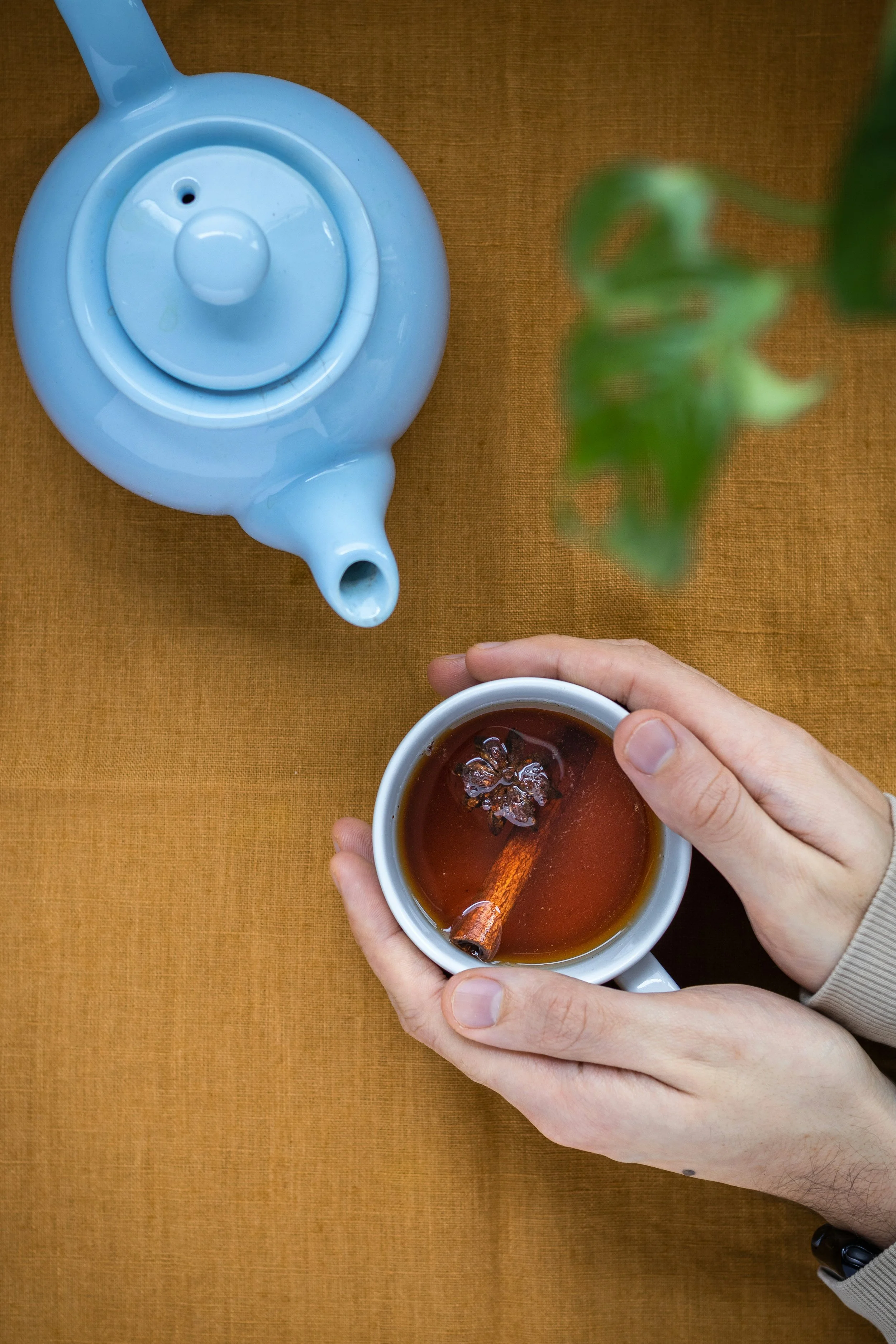 Hands holding a warm cup of herbal tea