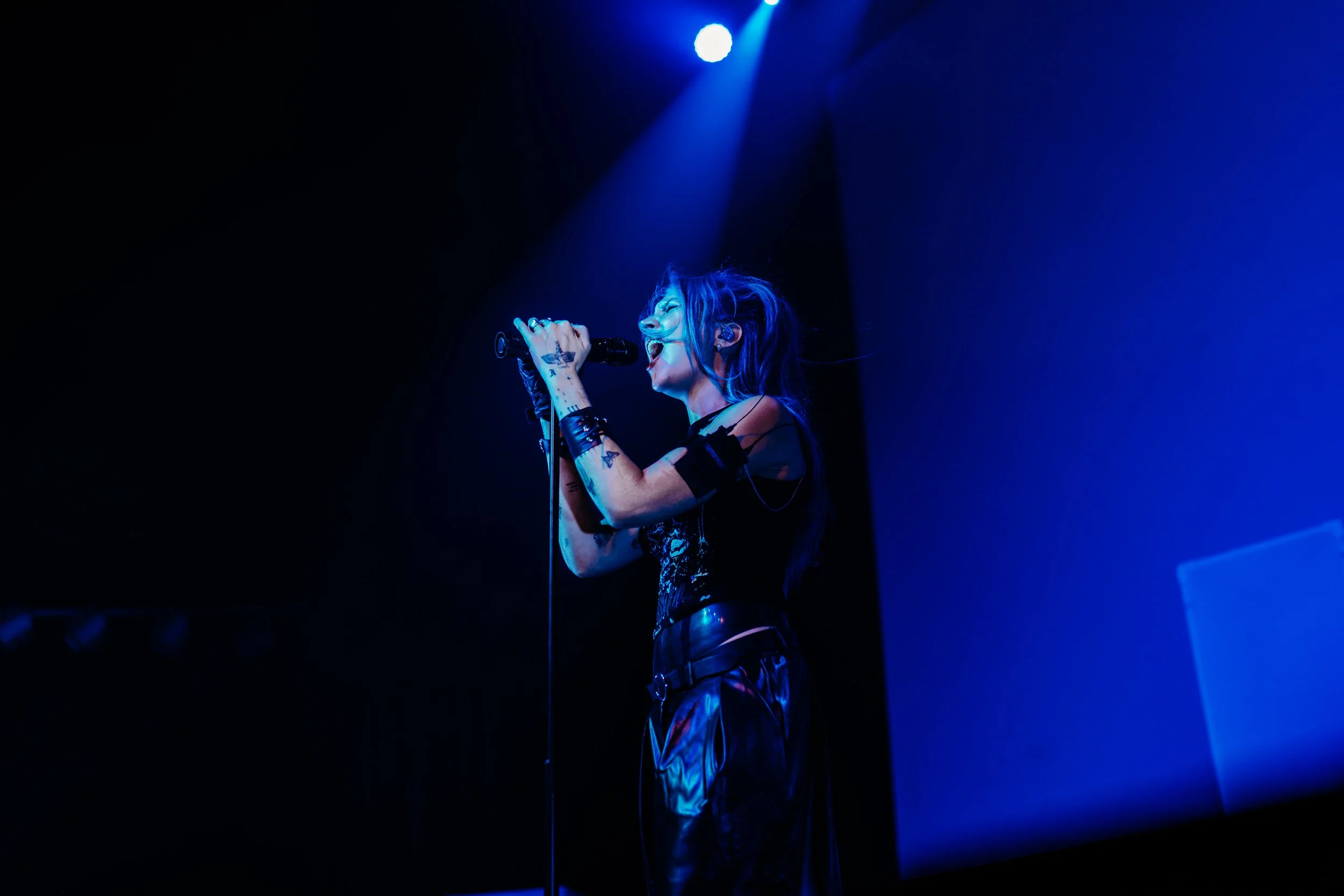 DSC09878.jpg
