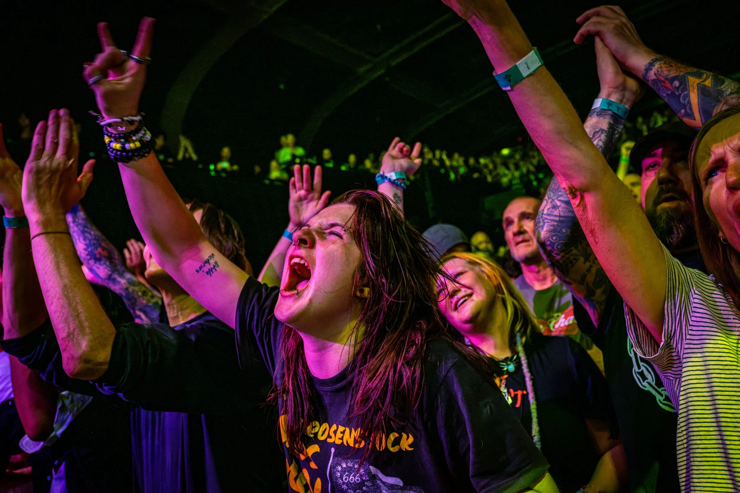 mcr.sexpistols.ogden.10926-19.jpg